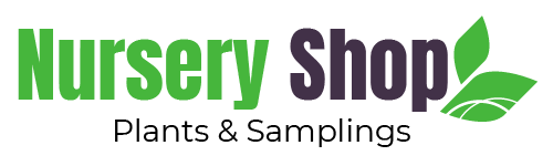 Nursery Shop