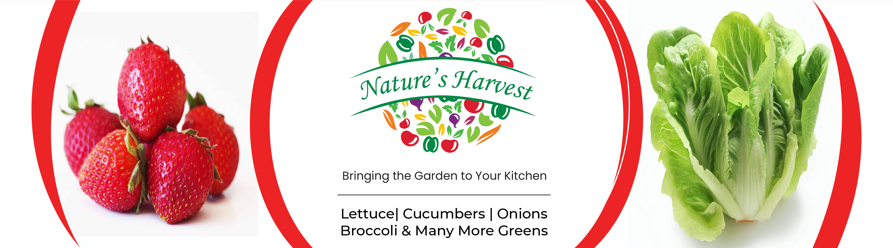 Nature's Harvest