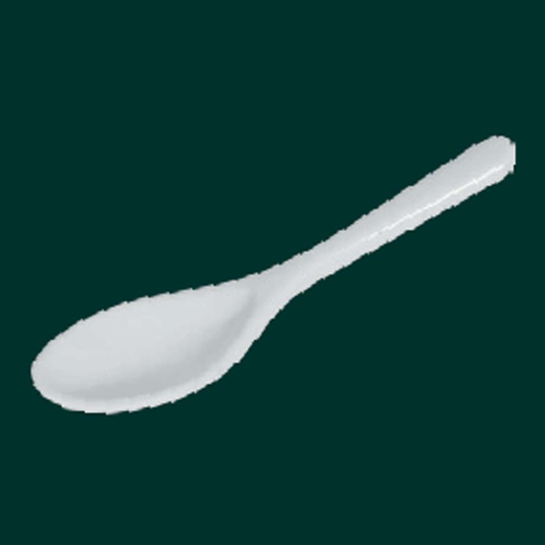 Agarwal Crockery House - Spoons and Ladles 14