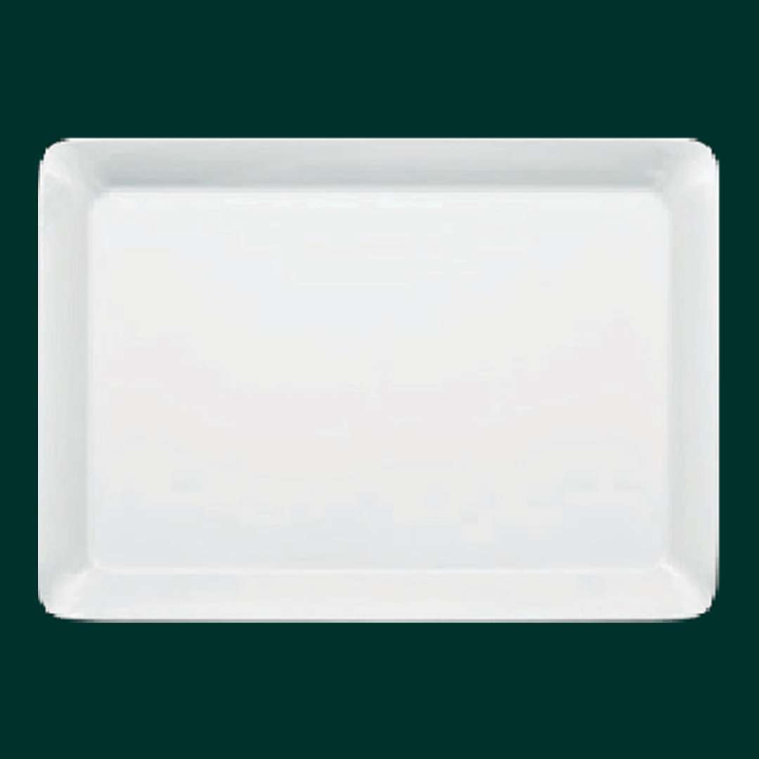 Agarwal Crockery House - Trays 8