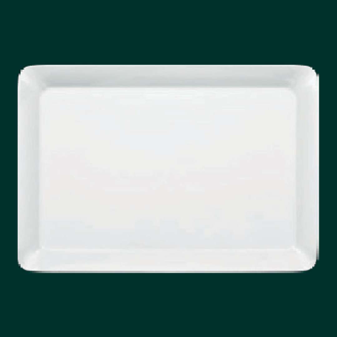 Agarwal Crockery House - Trays 9