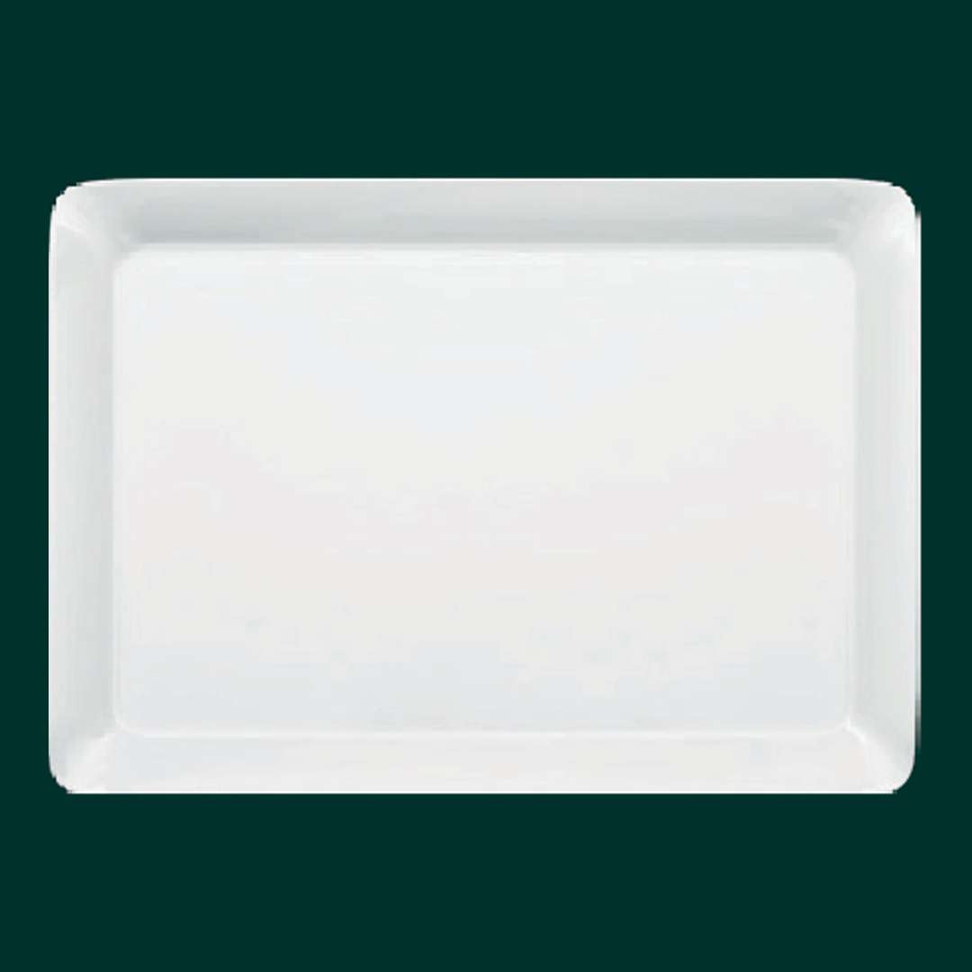 Agarwal Crockery House - Trays 11