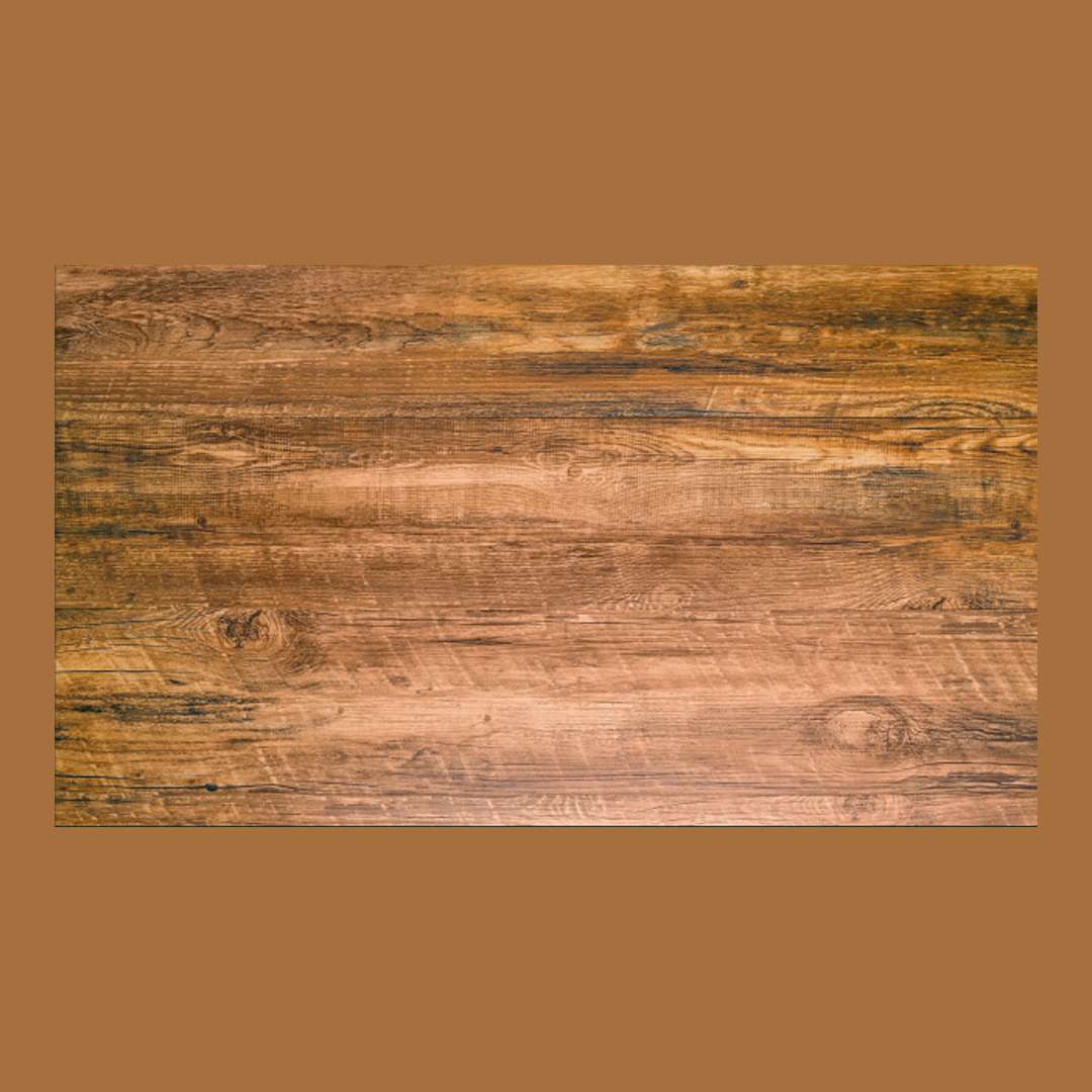 Agarwal Crockery House - Natural 17