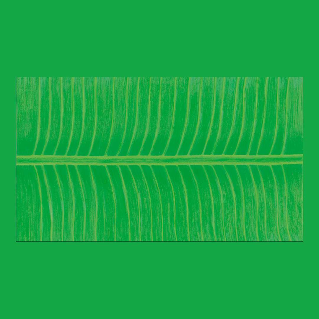 Agarwal Crockery House - Natural 20