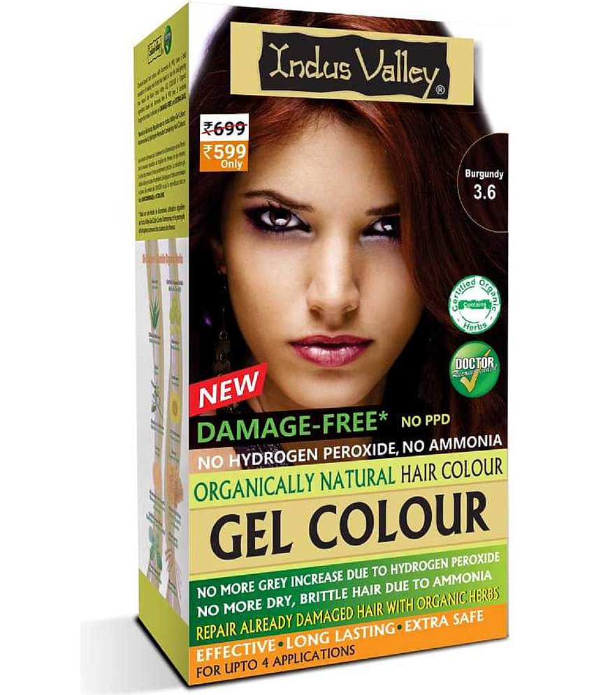 Indus Valley Gel Color Burgundy - Hair Care