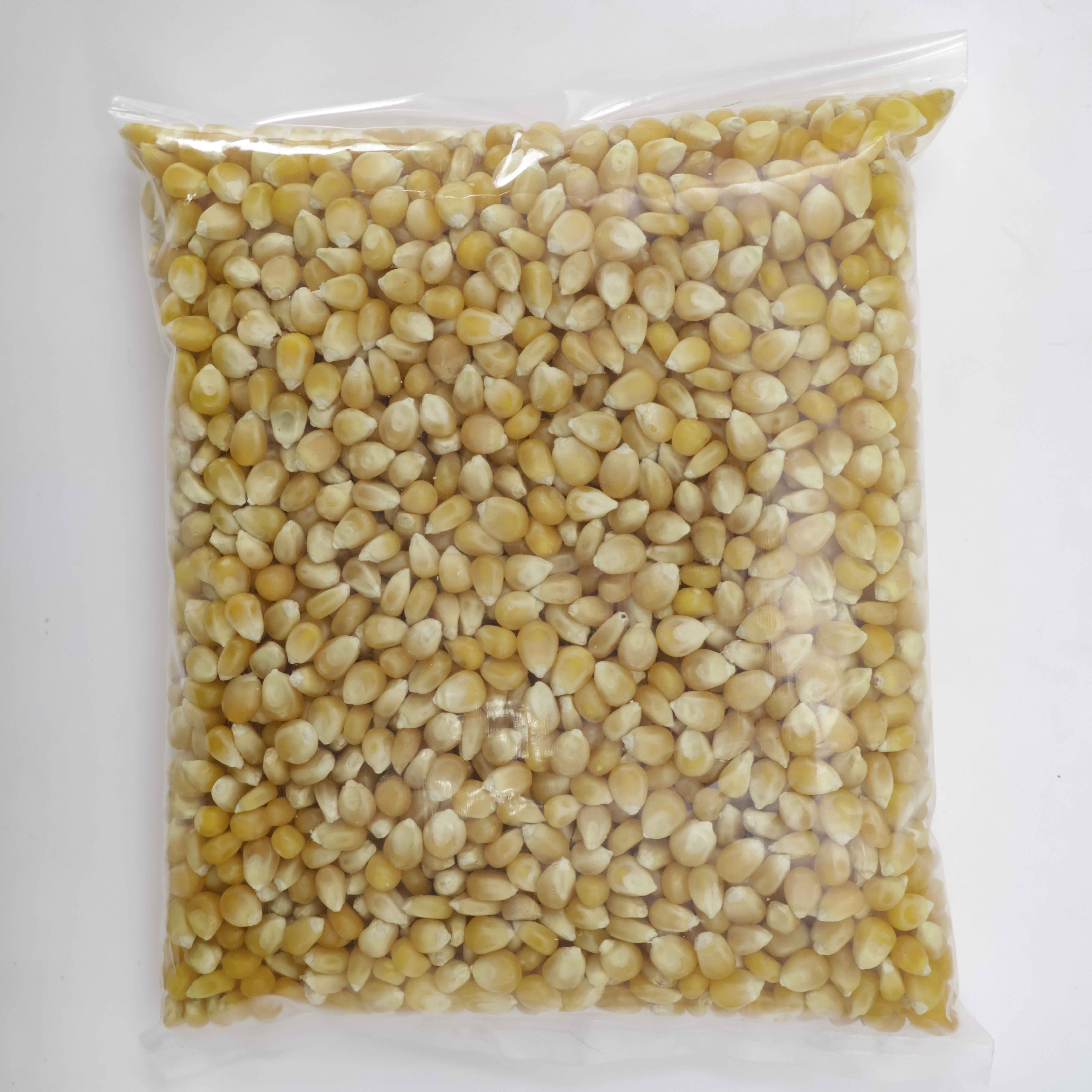 Popcorn Seeds 1kg