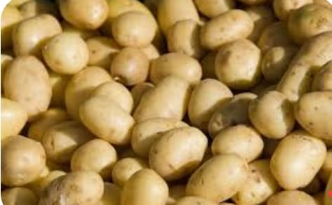 Fresh Vegetables - Potatoes
