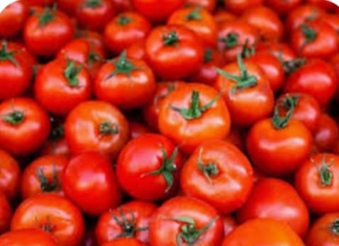 Fresh Vegetables - Tomatoes