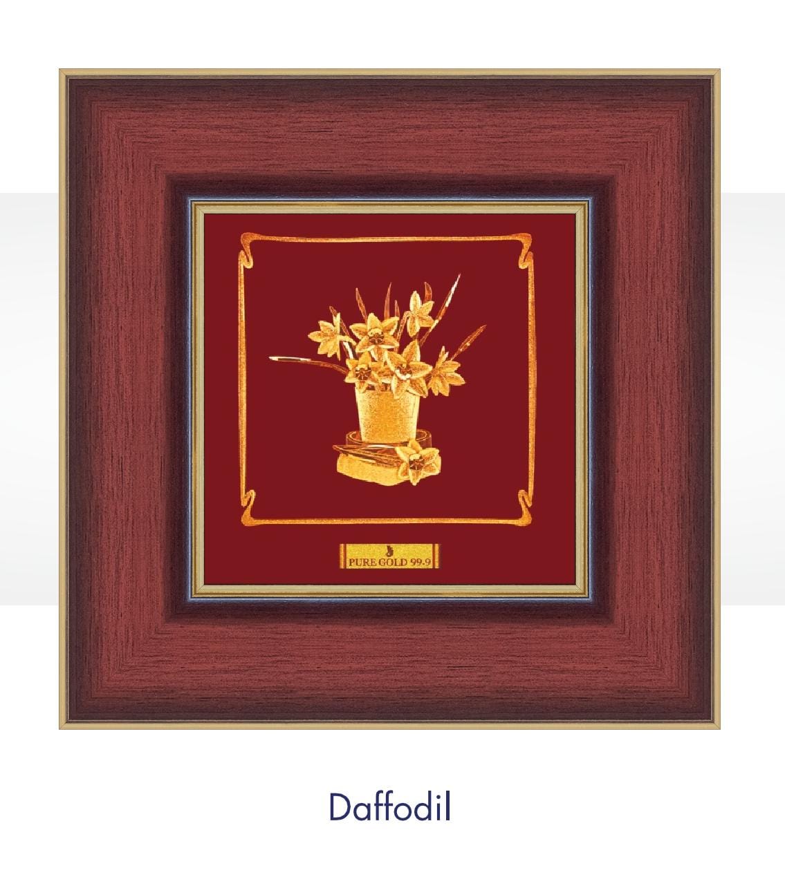 A 10 Daffodi Flower