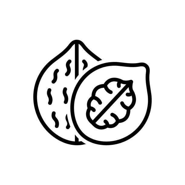 Dry Fruits