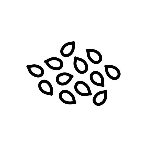 Seeds