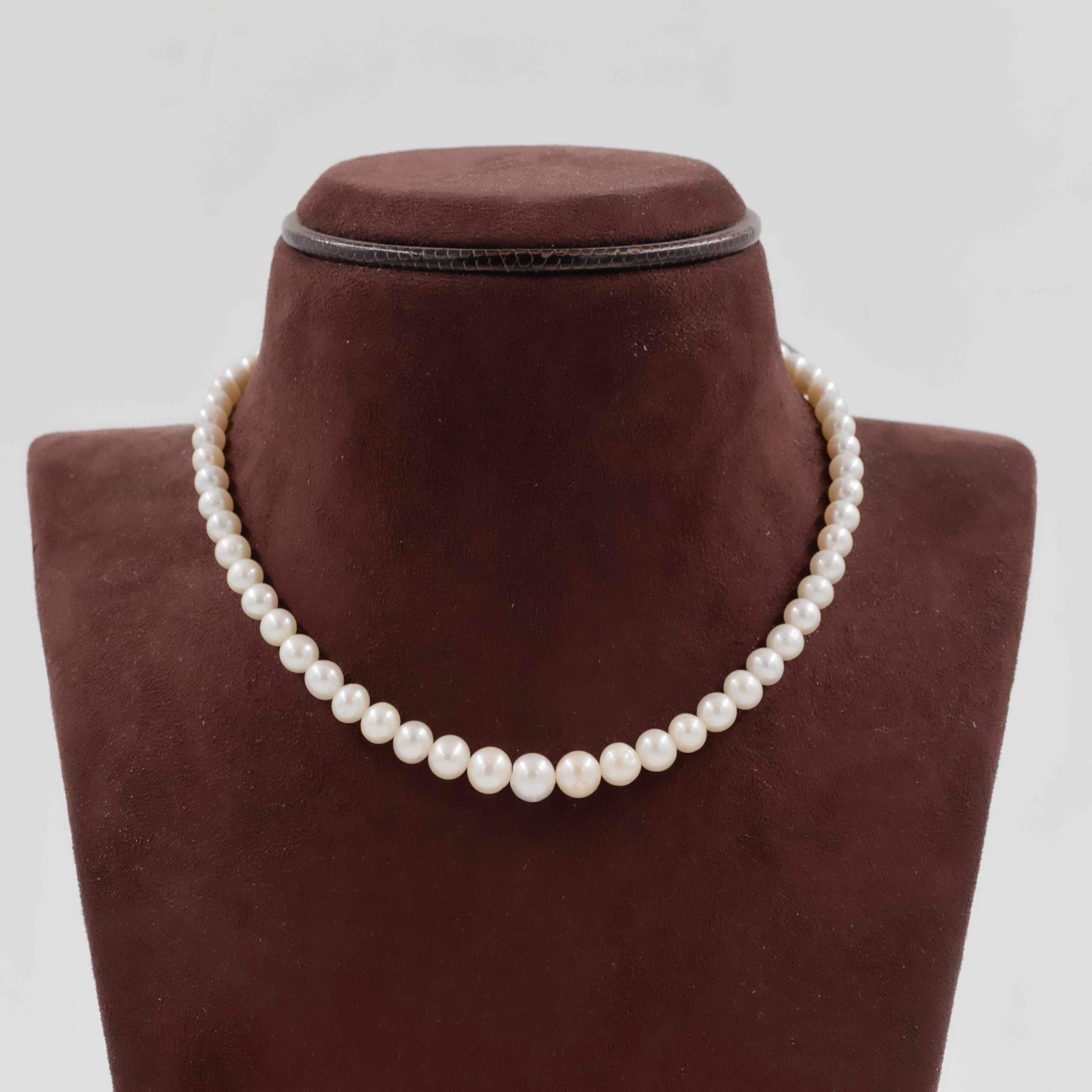 Pearls Necklace - Pearls Jewellery