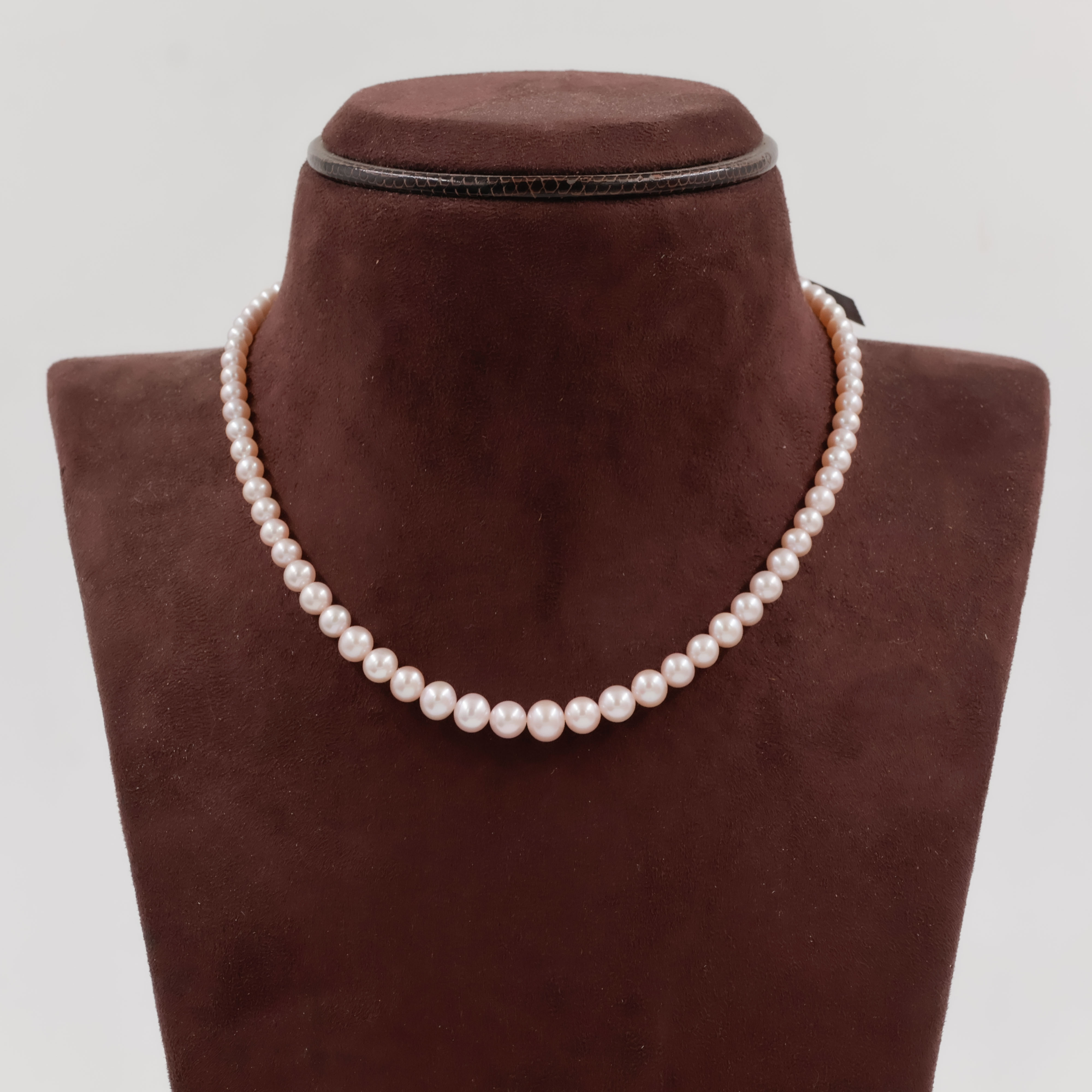 Pearls Necklace - Pearls Jewellery