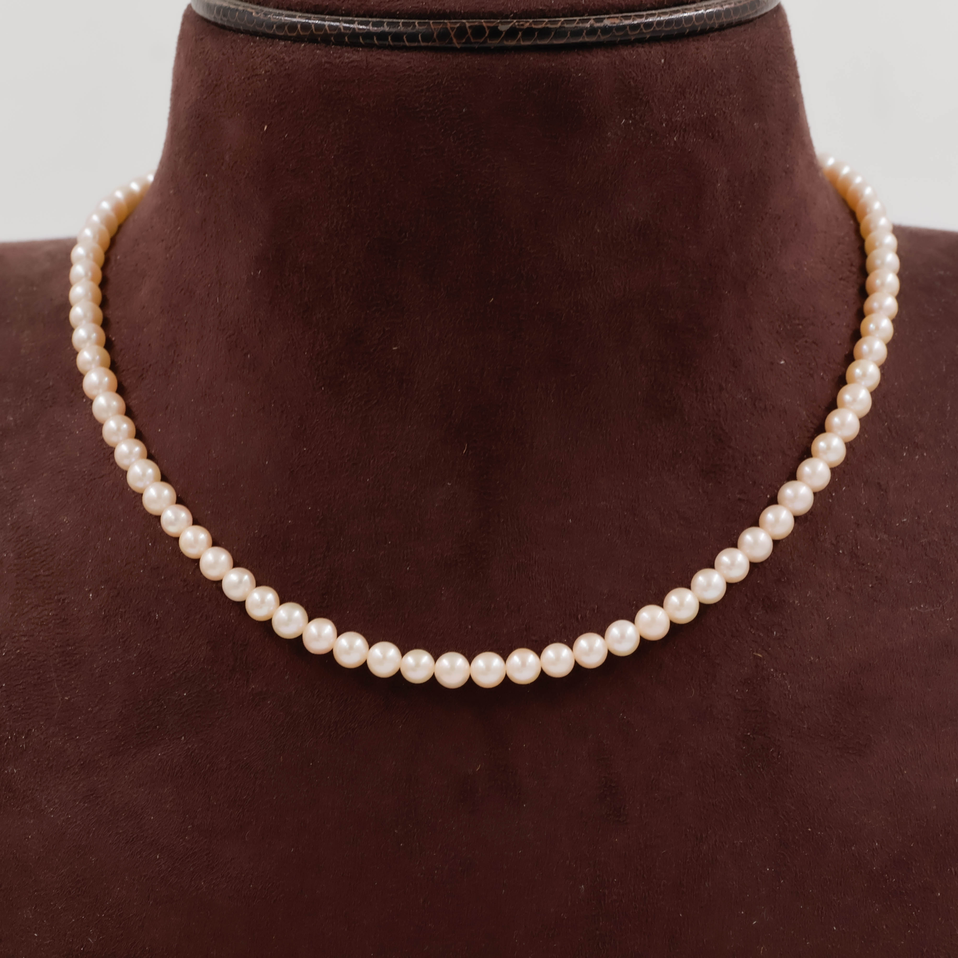 Pearls Necklace - Pearls Jewellery