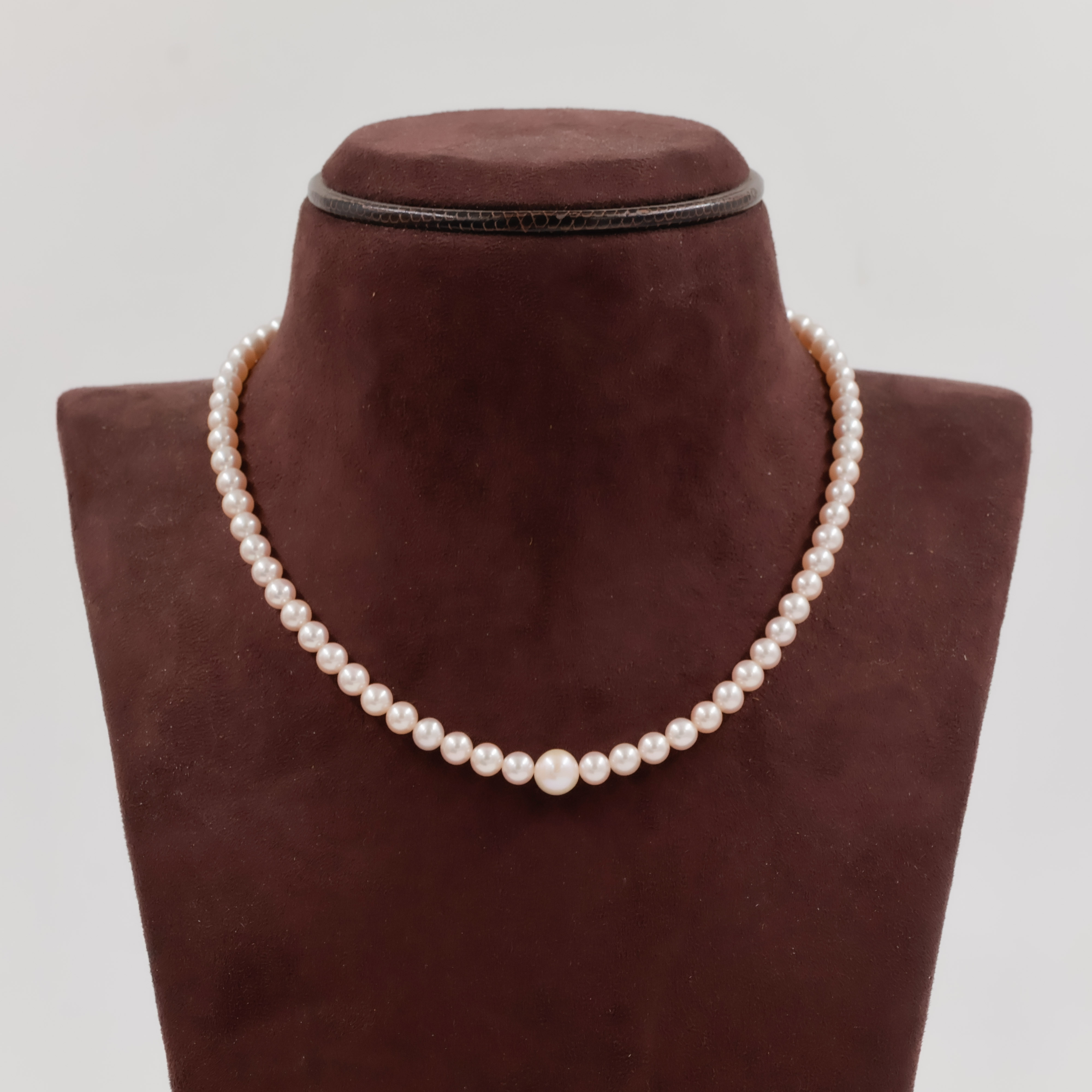 Pearls Necklace - Pearls Jewellery
