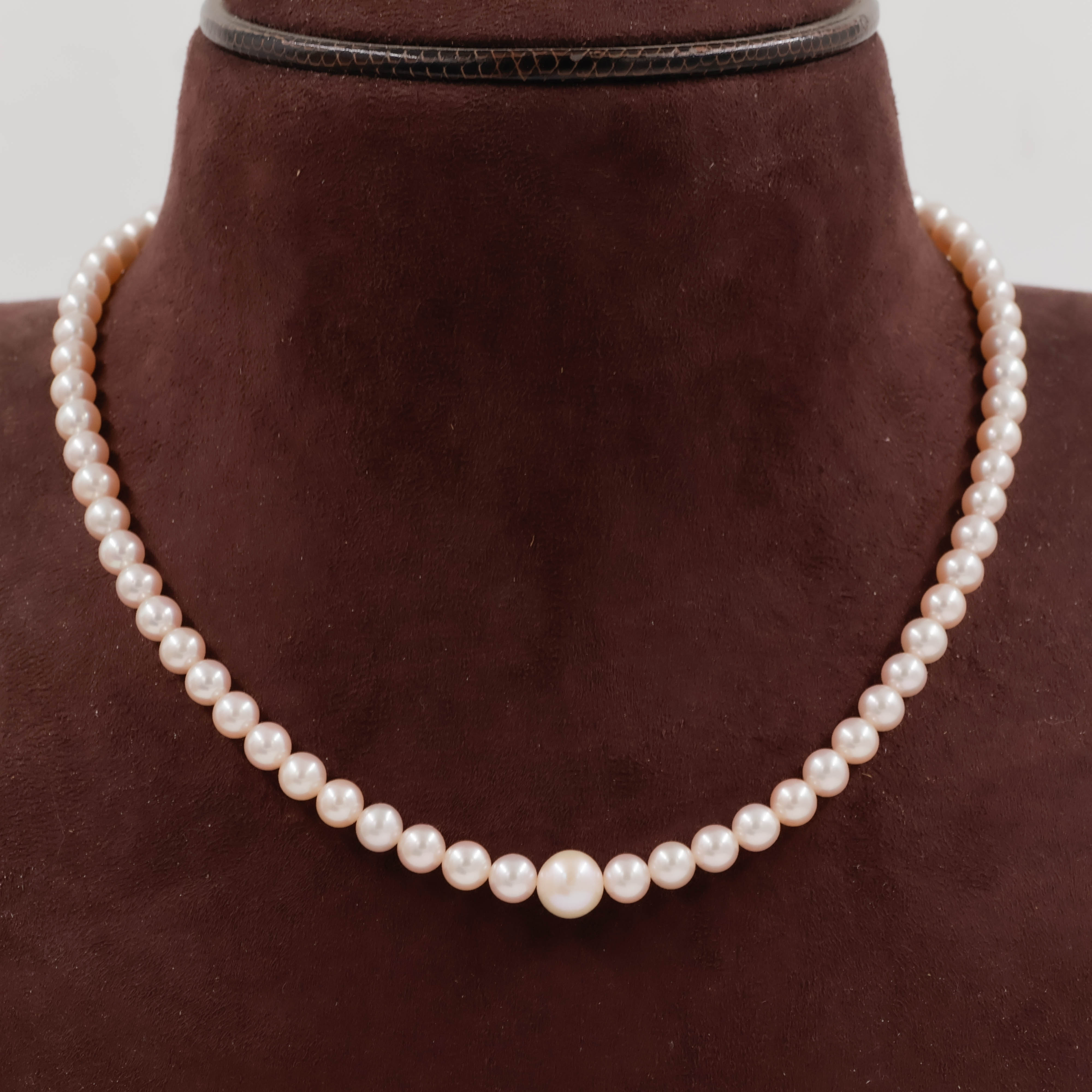 Pearls Necklace - Pearls Jewellery