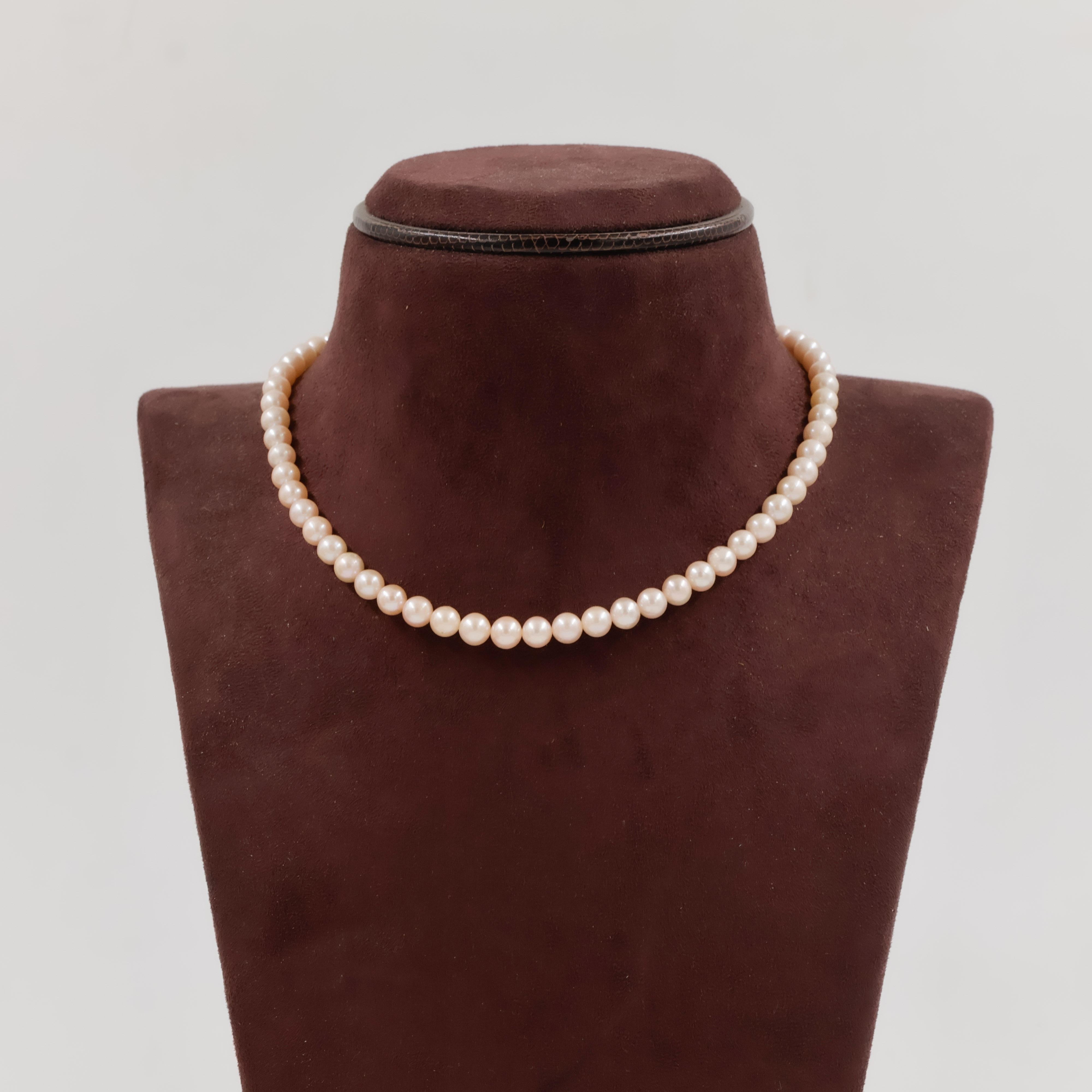Pearls Necklace - Pearls Jewellery