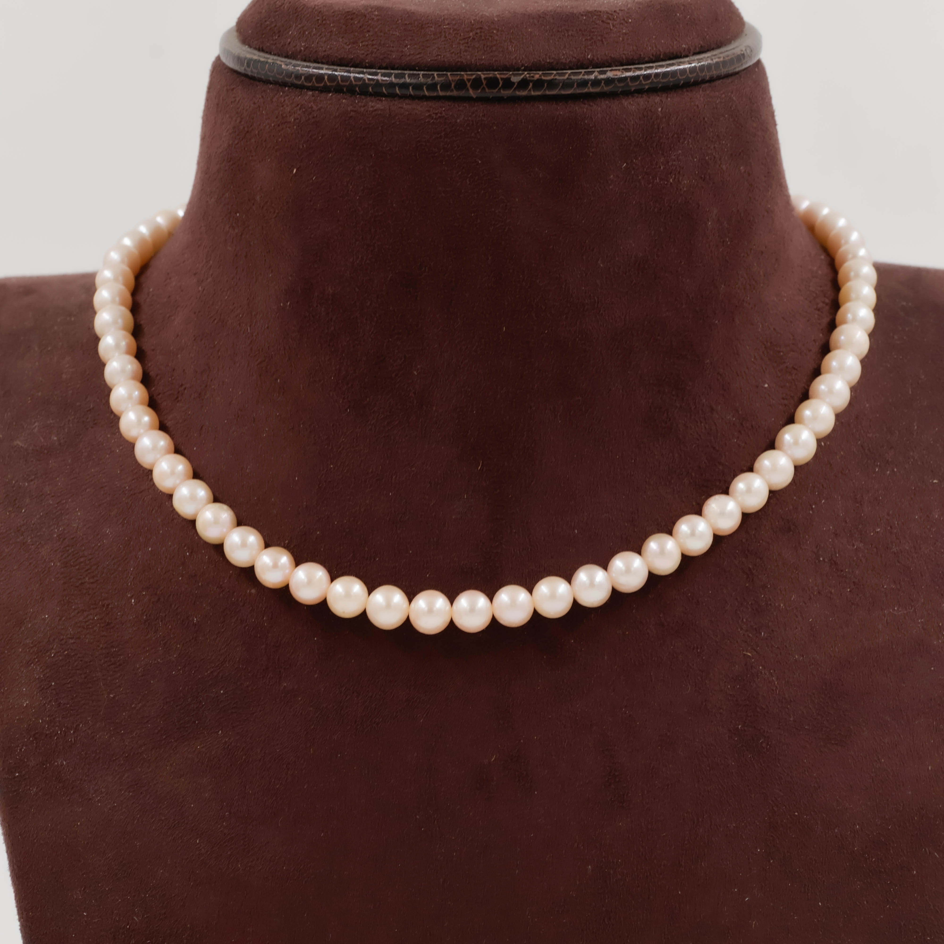 Pearls Necklace - Pearls Jewellery