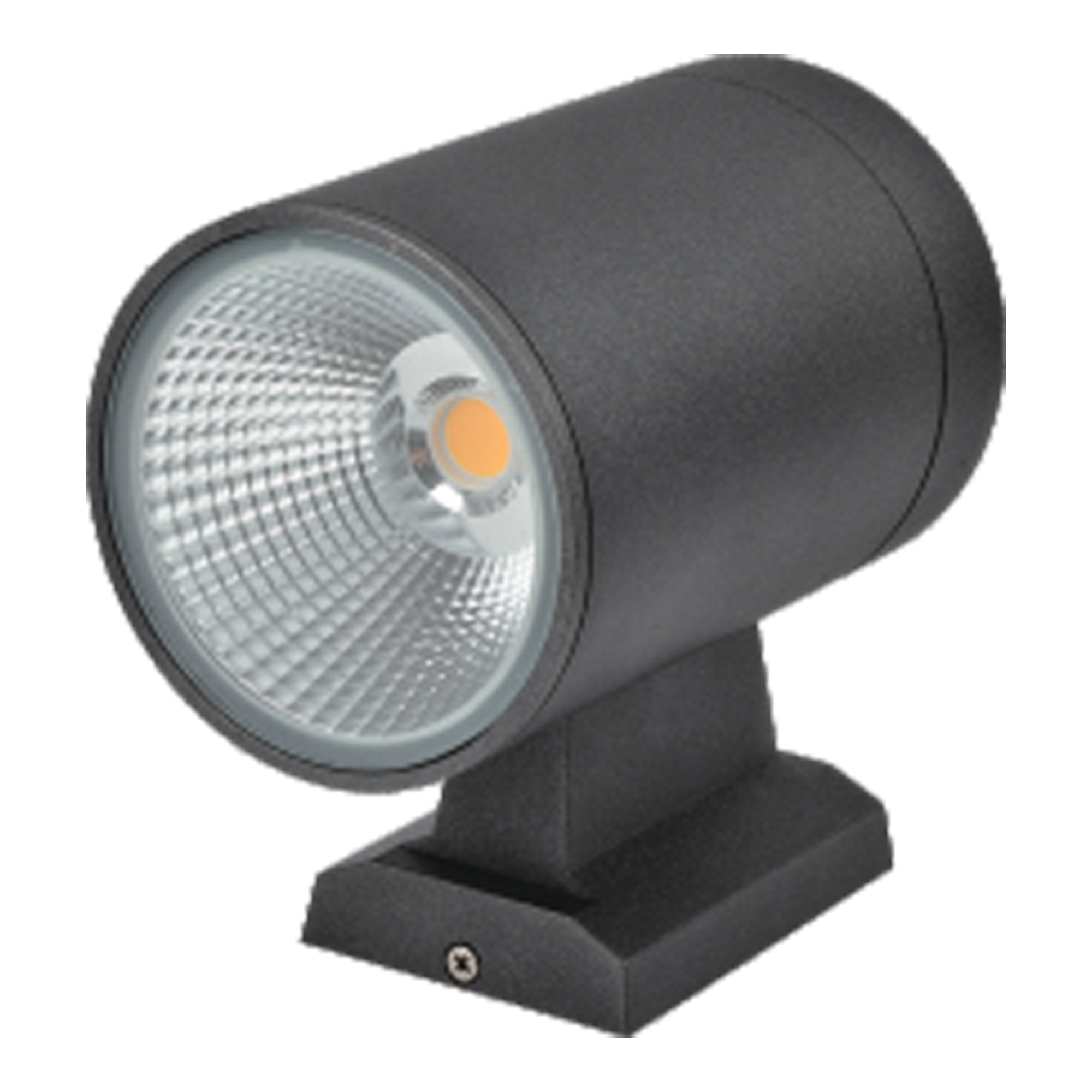 LED OUTDOOR LIGHT-1