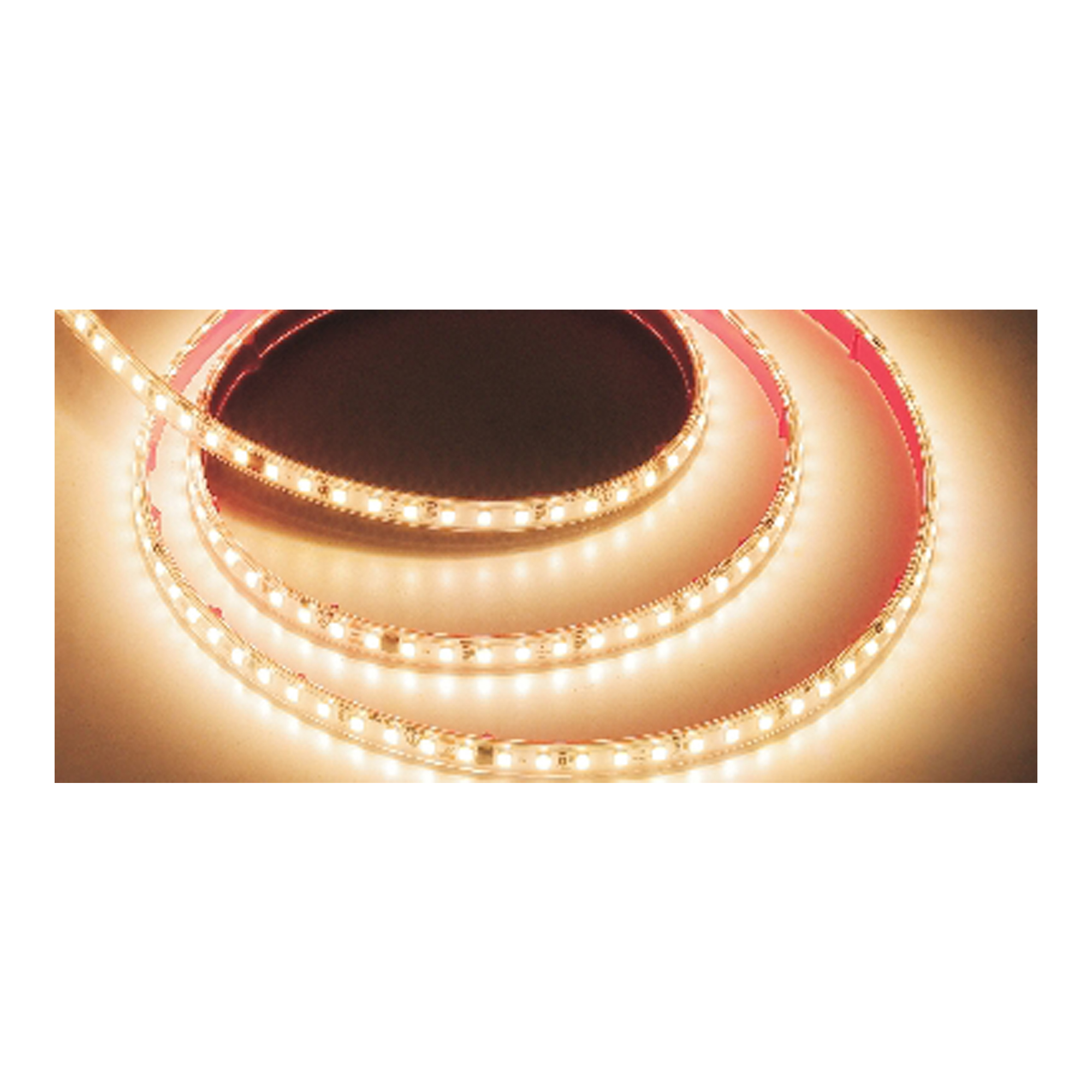 220V STRIP DIRECT