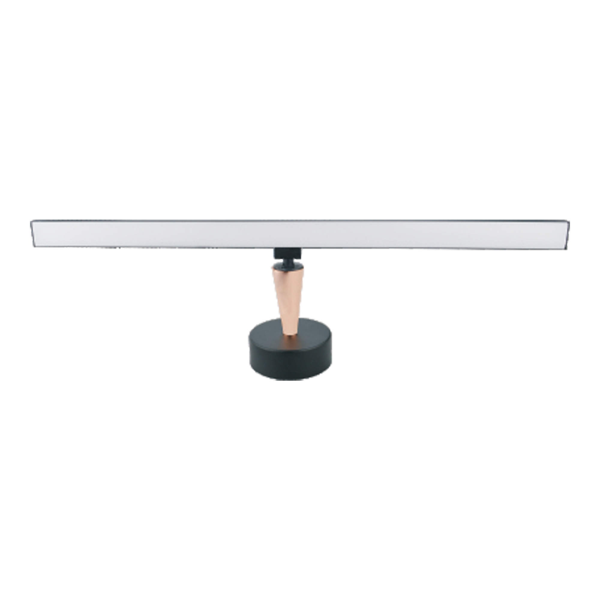 LED PICTURE LIGHT-1