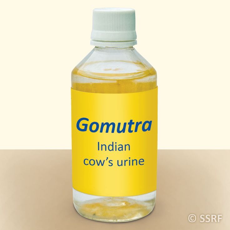 Gomutra