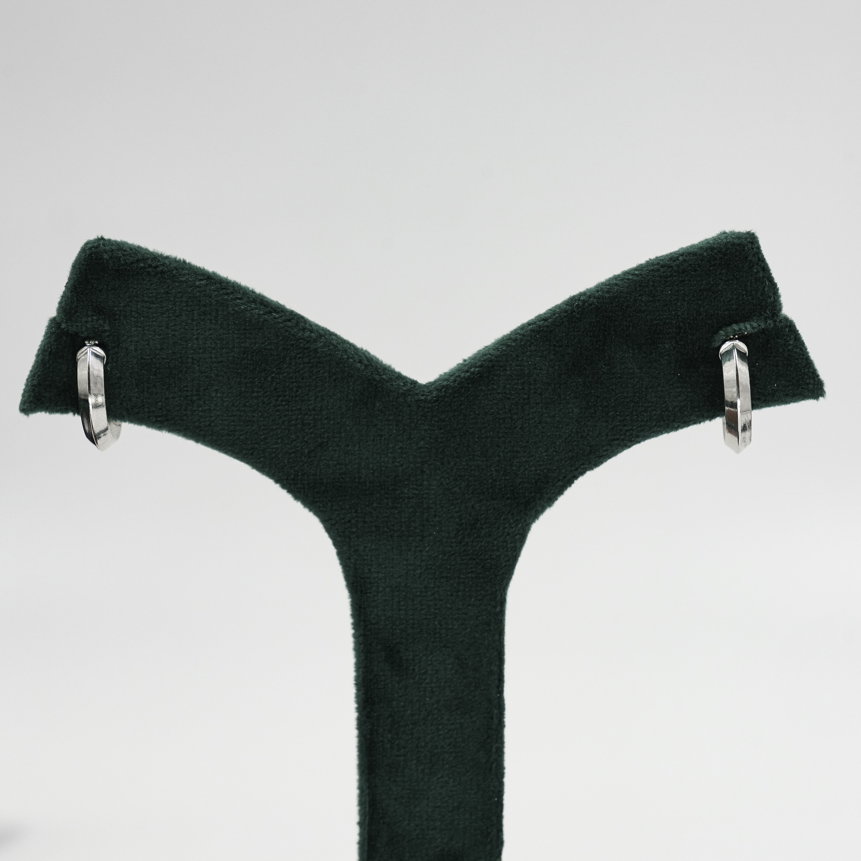 Silver Hoop Earrings