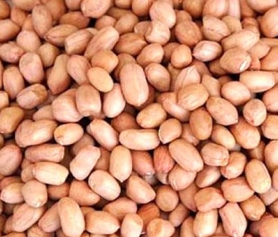 Groundnut