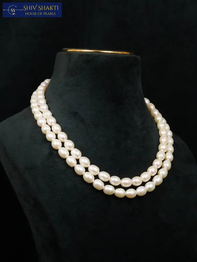 Shiv Shakti Pearls - Big Size 2 Line Oval Pearl