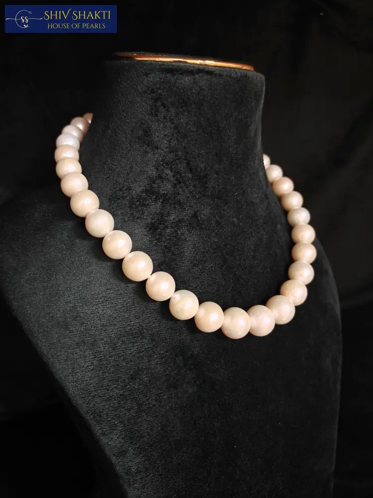 Shiv Shakti Pearls - Bold Round Pearl