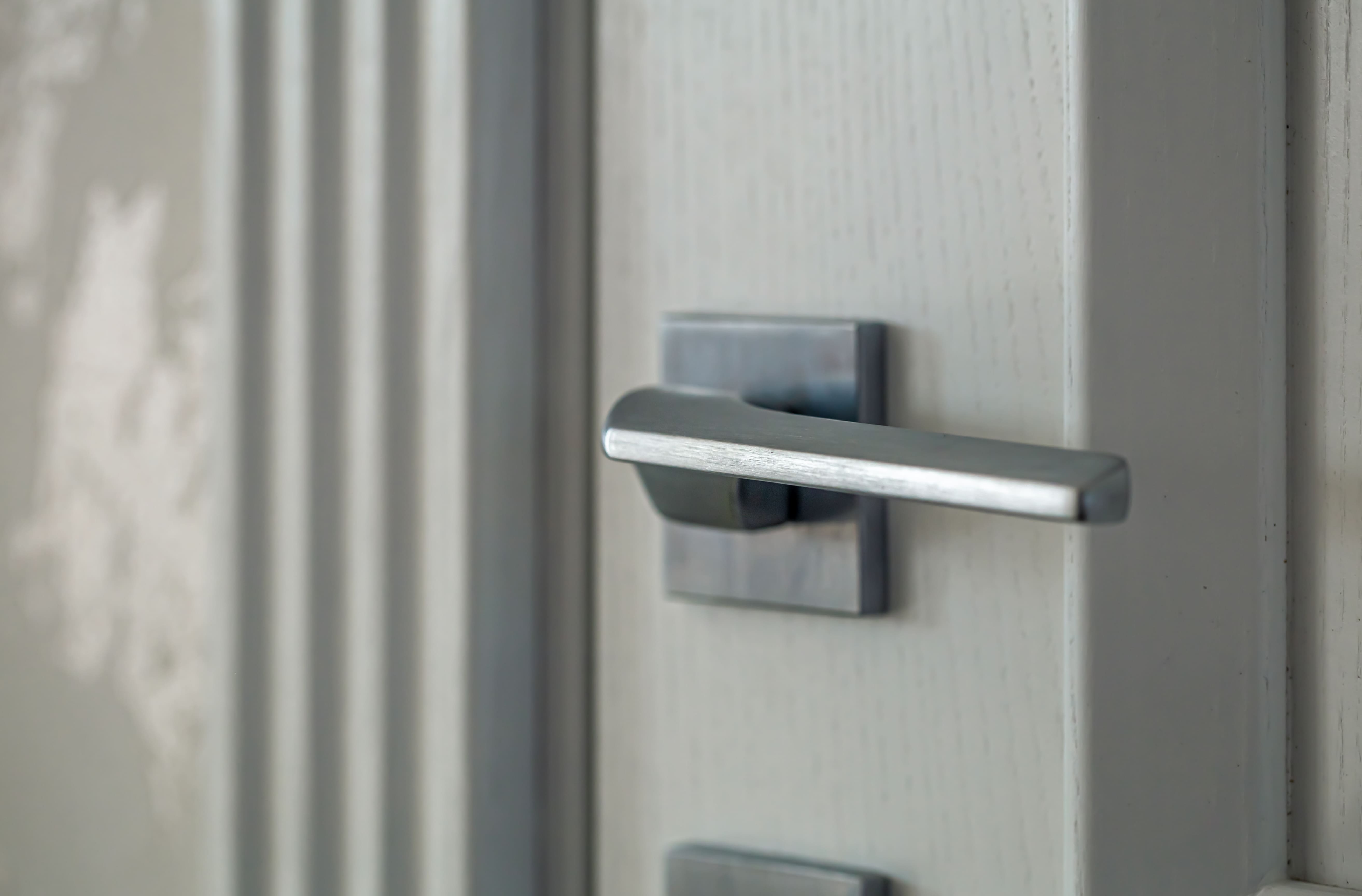 Main Door Handles