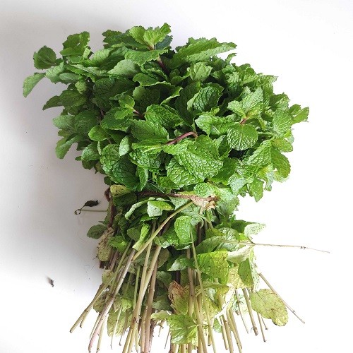 Pudina (Mint Leaves)