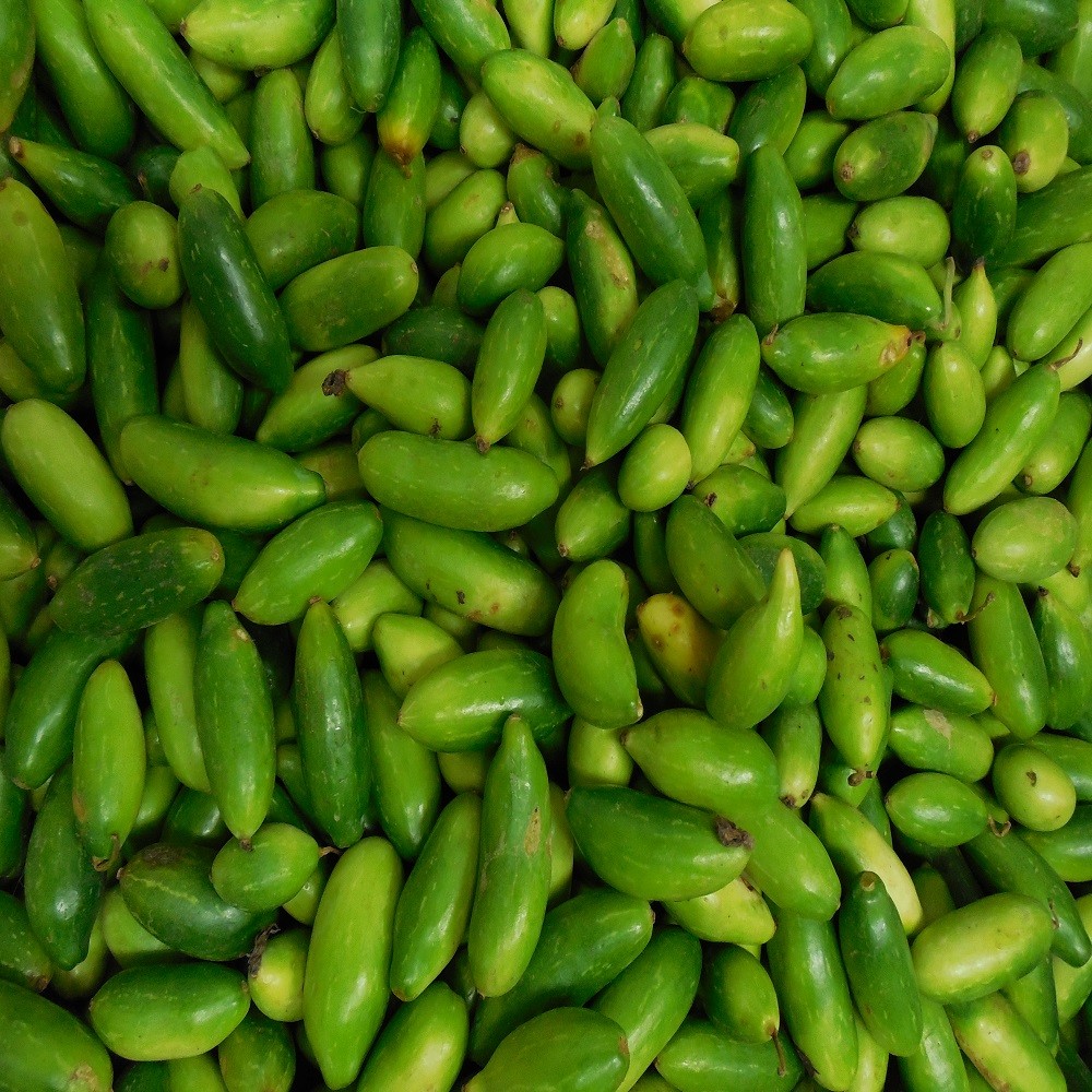 Dondakaya (Ivy Gourd)