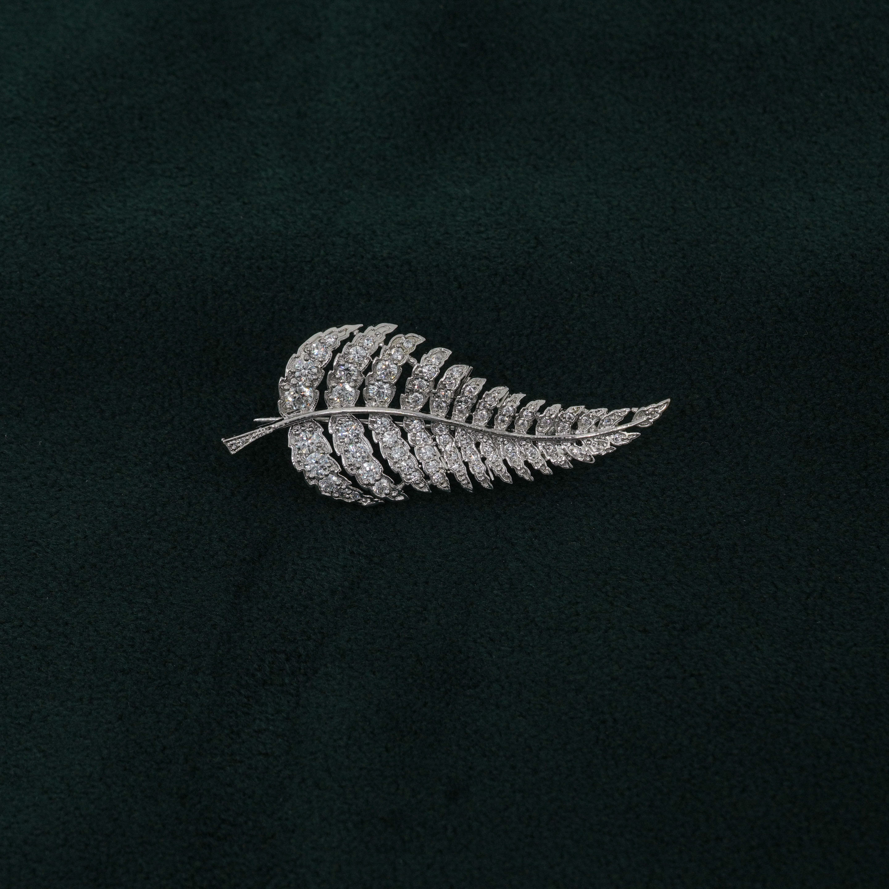 Tulasii - The Concept Jewelry - Silver Fern Brooch