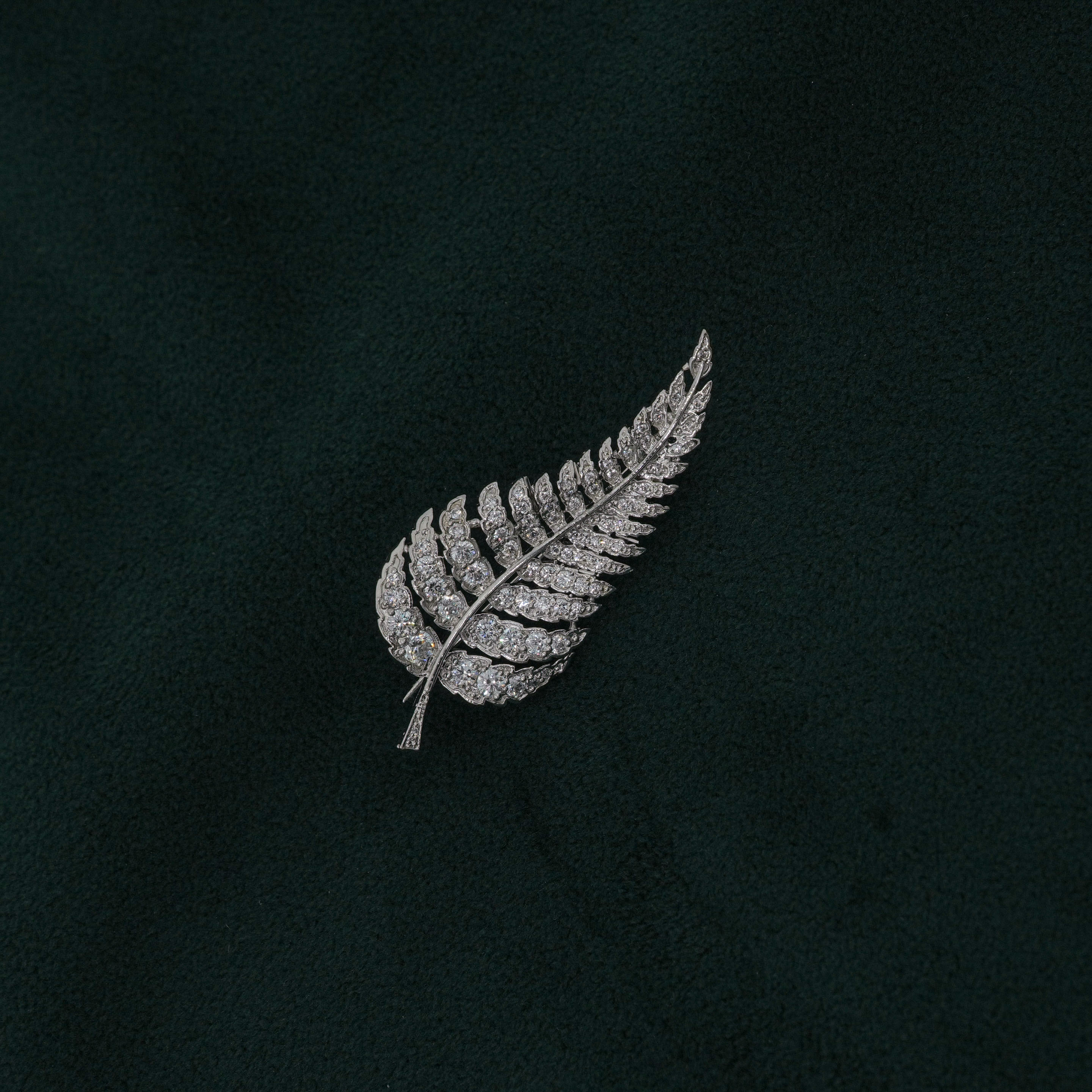 Tulasii - The Concept Jewelry - Silver Fern Brooch