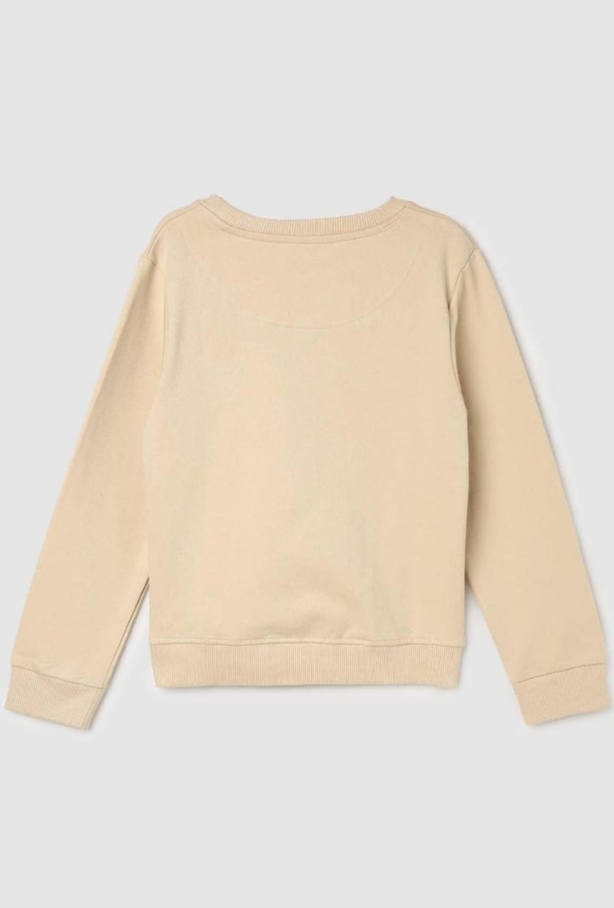 Urban Attic - Round Neck Brown Colour T shirt