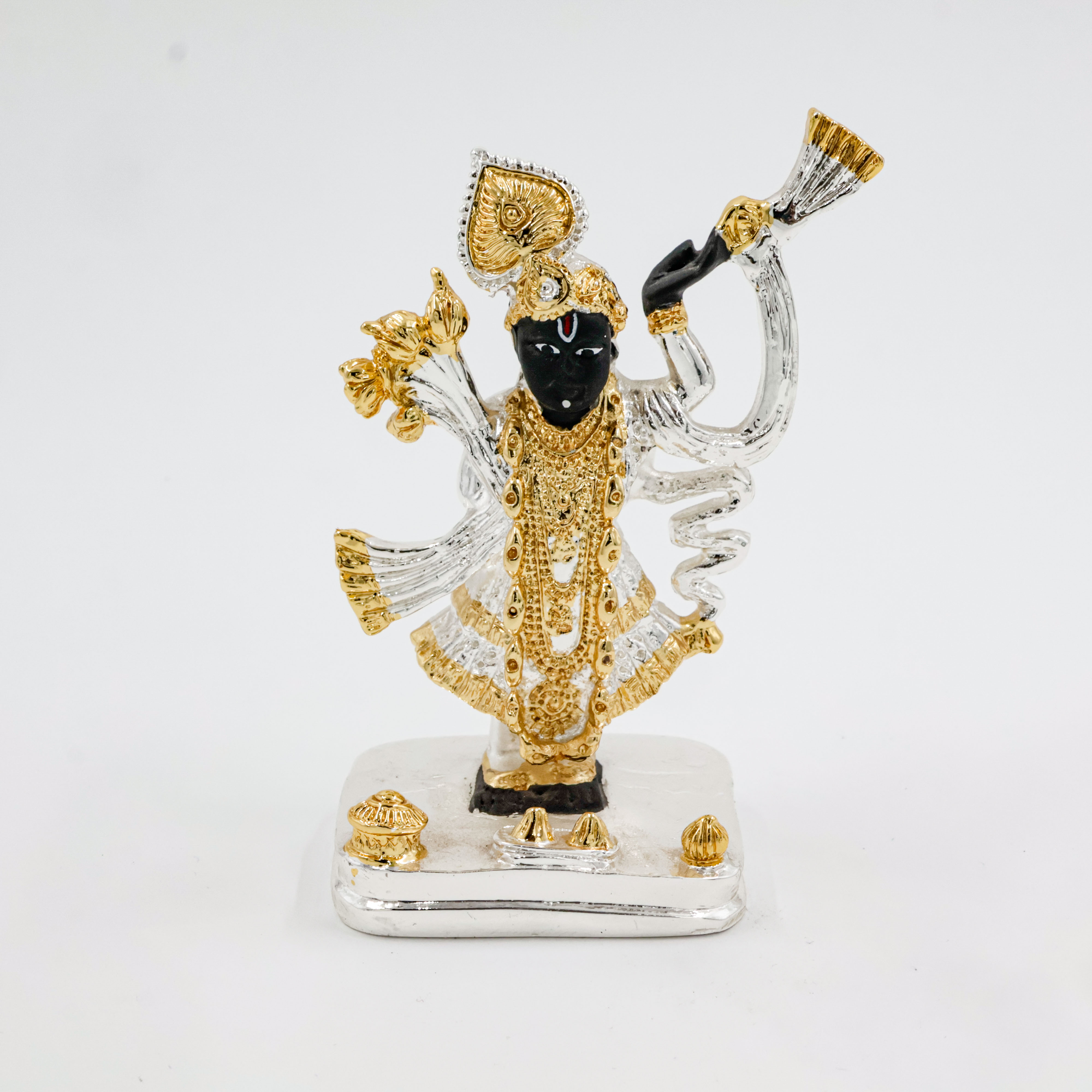 Silver Coated Srinath Ji