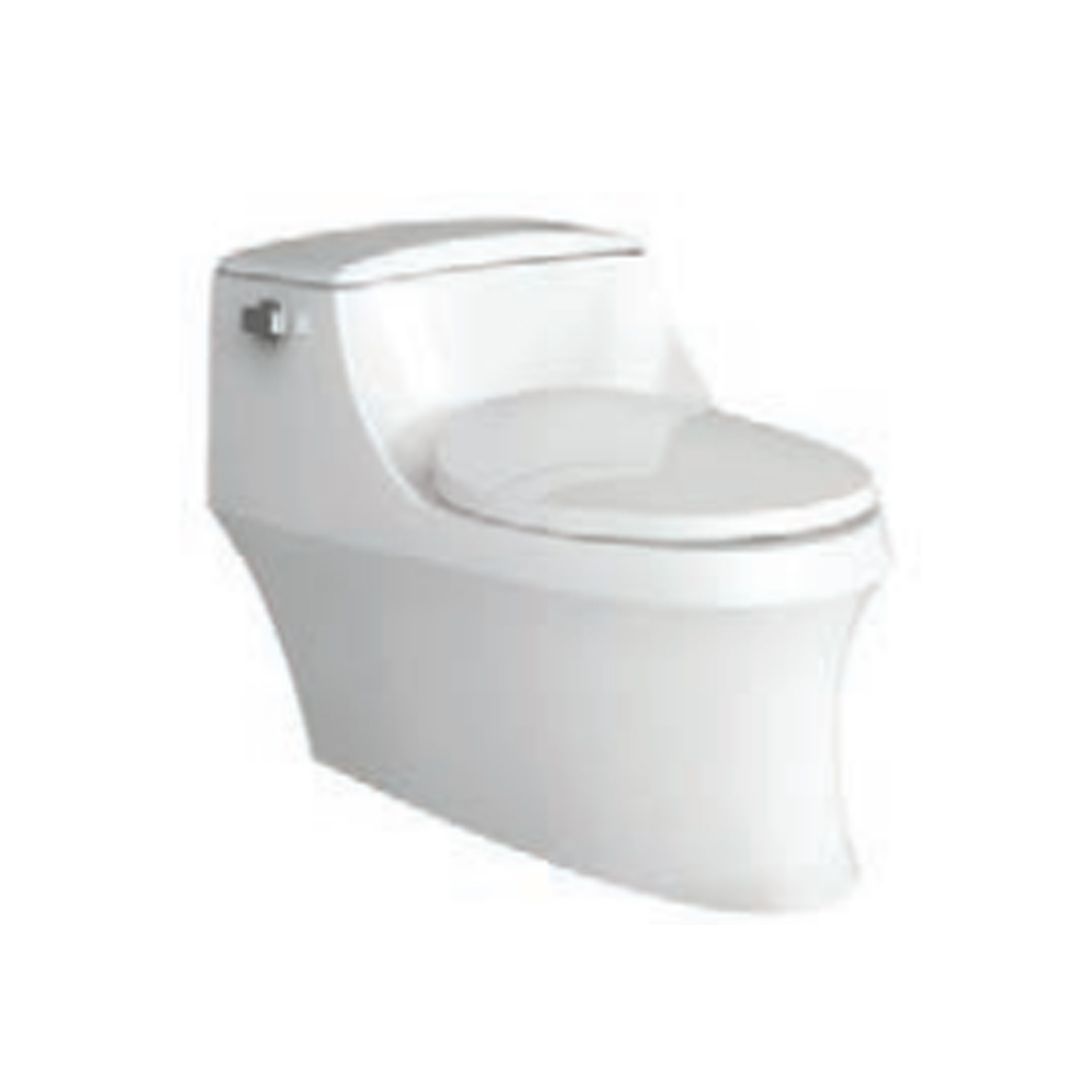 Buy Kohler San Raphael Grande One-piece Toilet White in Koti, Hyderabad