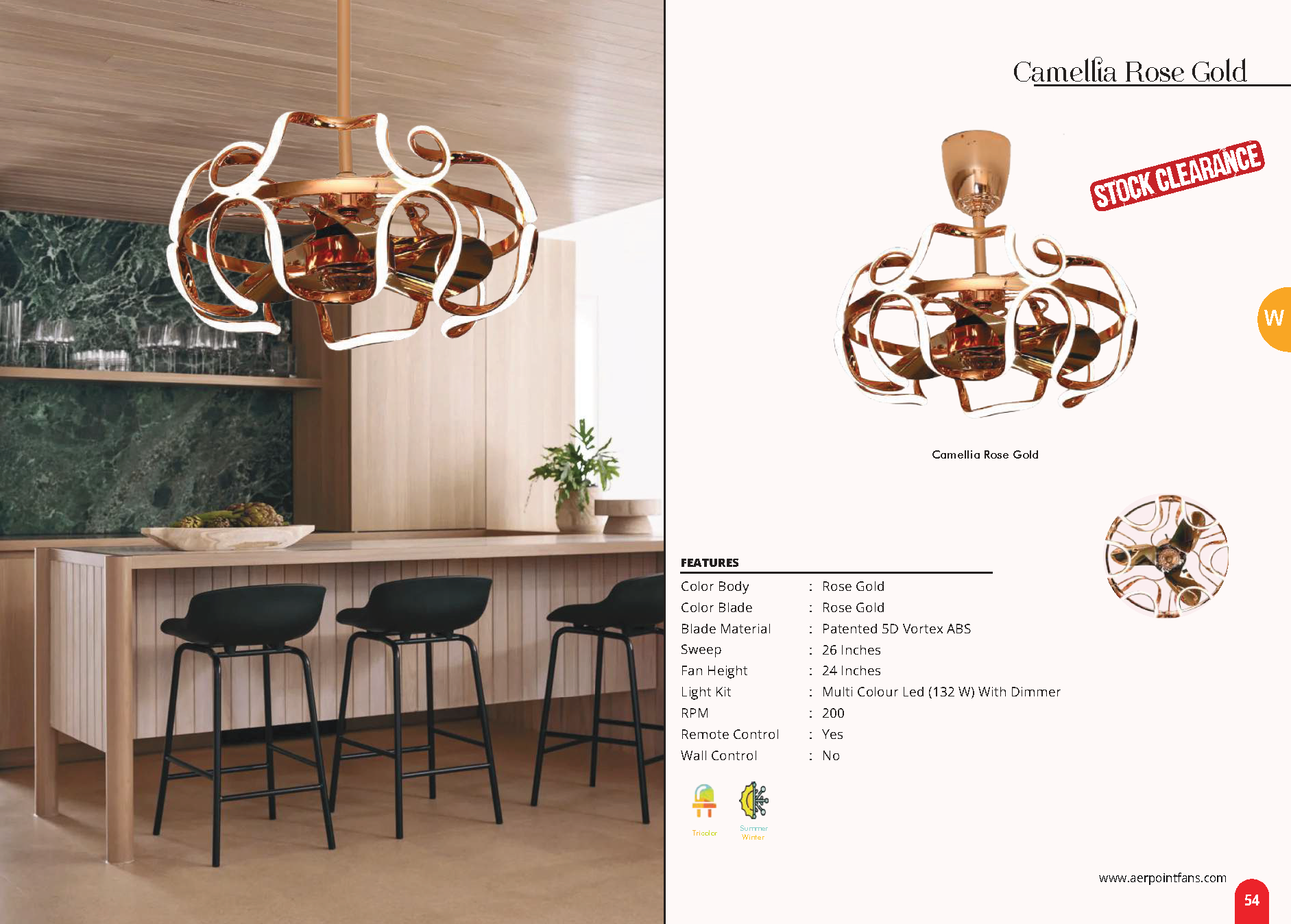 Beyond Lights - Camellia Rose Gold