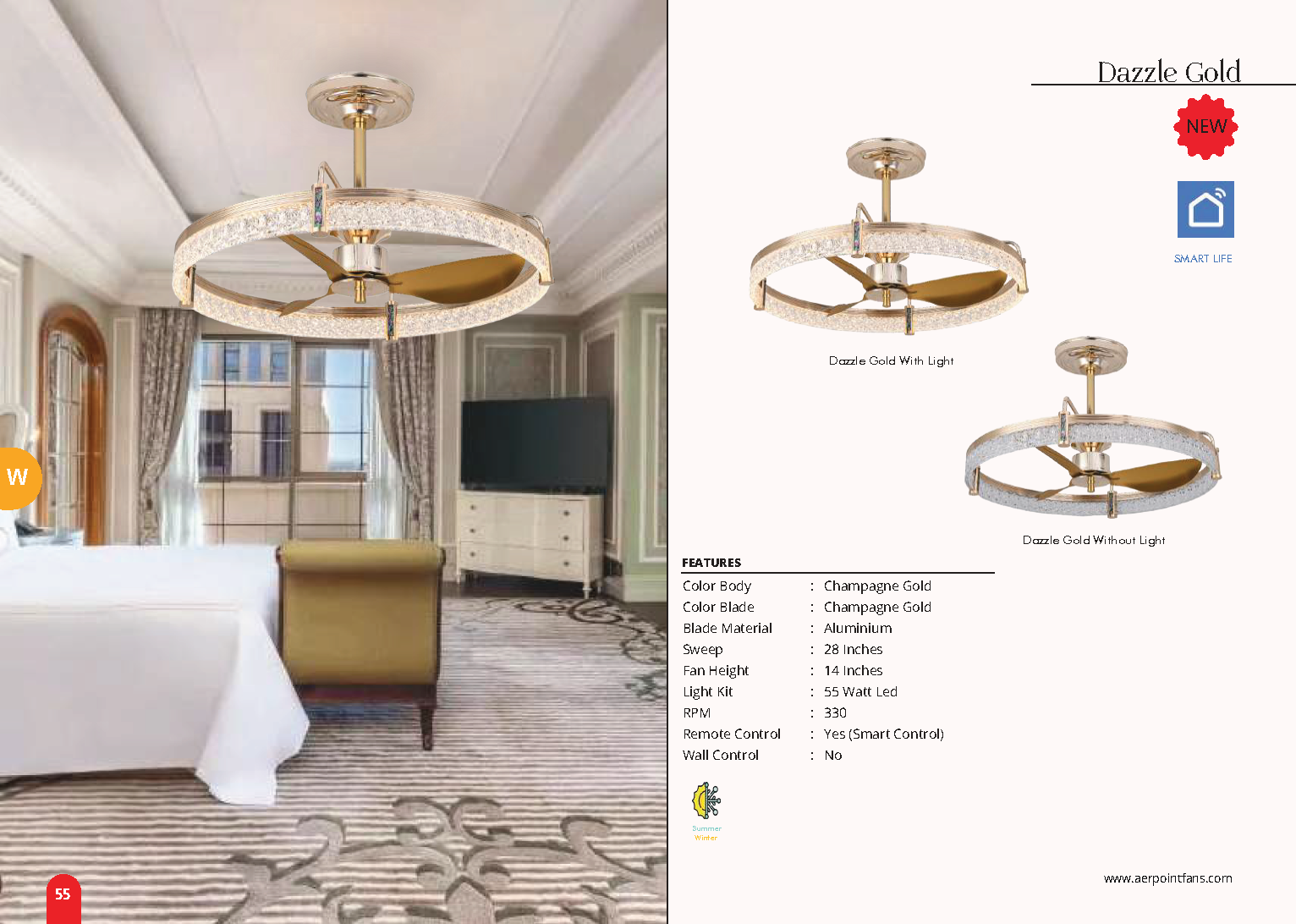 Beyond Lights - Gold Ring Fan