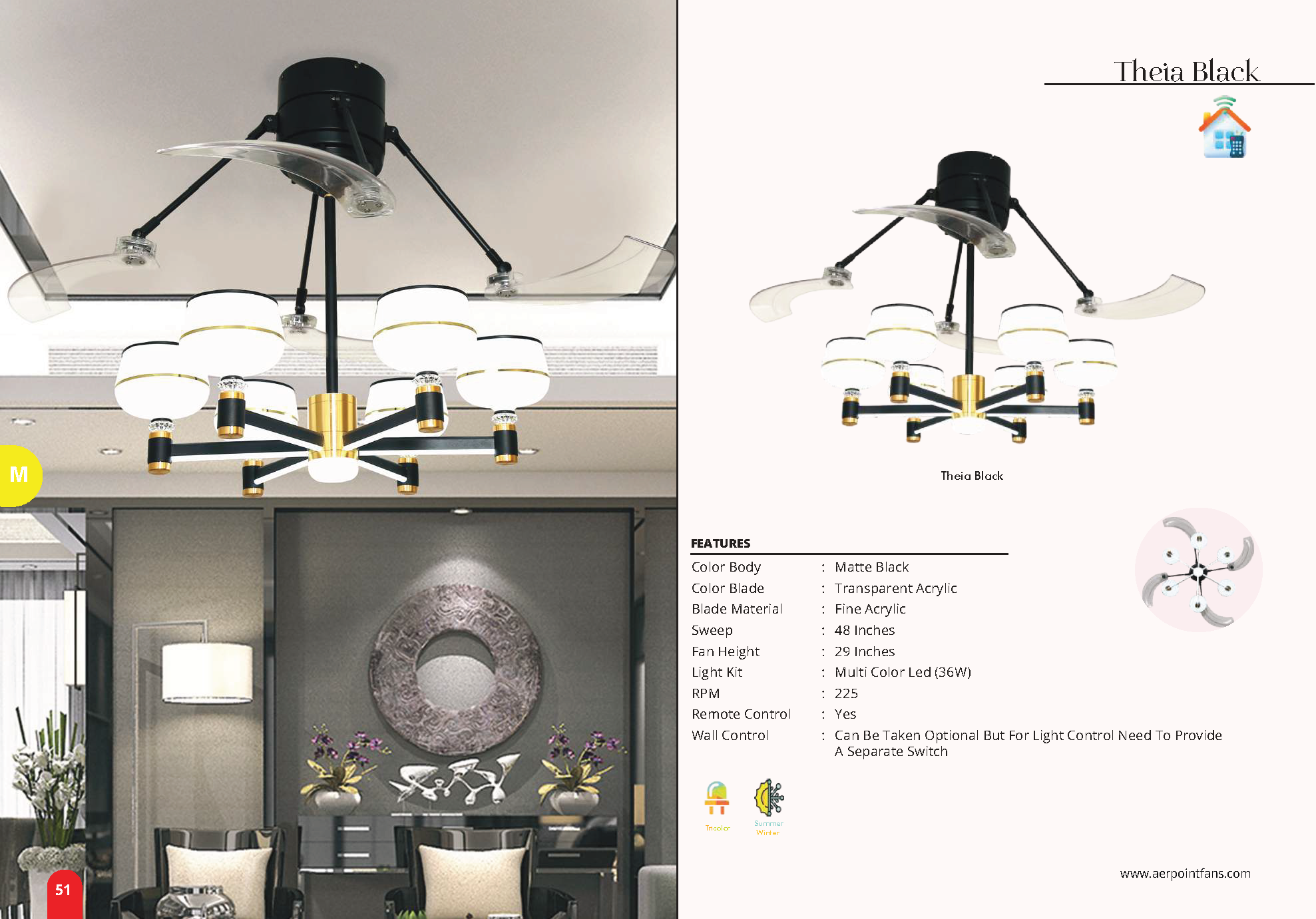 Beyond Lights - Theia Black Fan