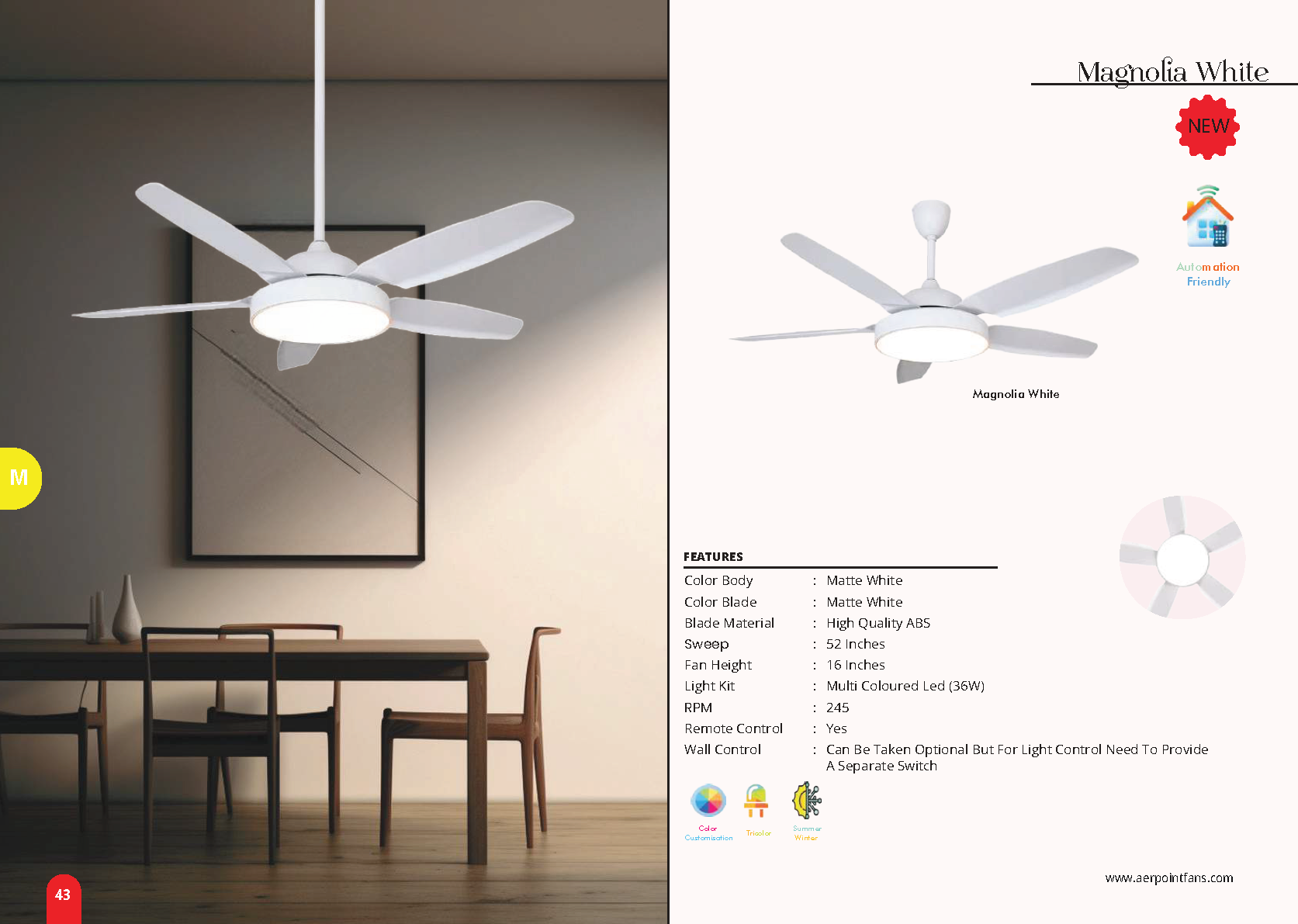 Beyond Lights - Magnolia White Fan