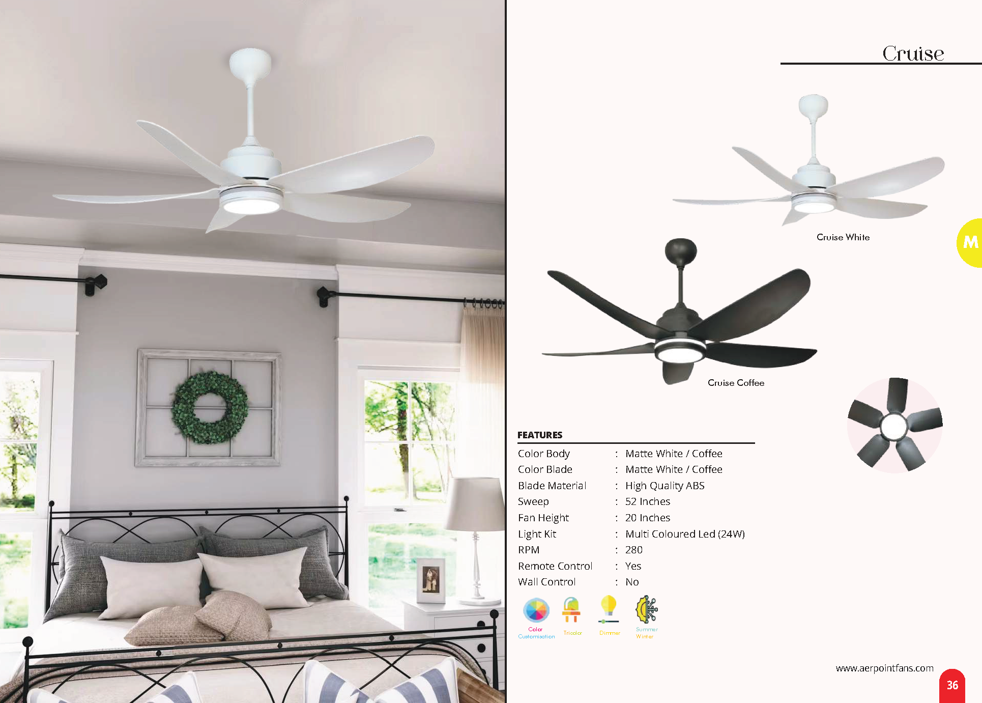 Beyond Lights - Cruise Ceiling Fan