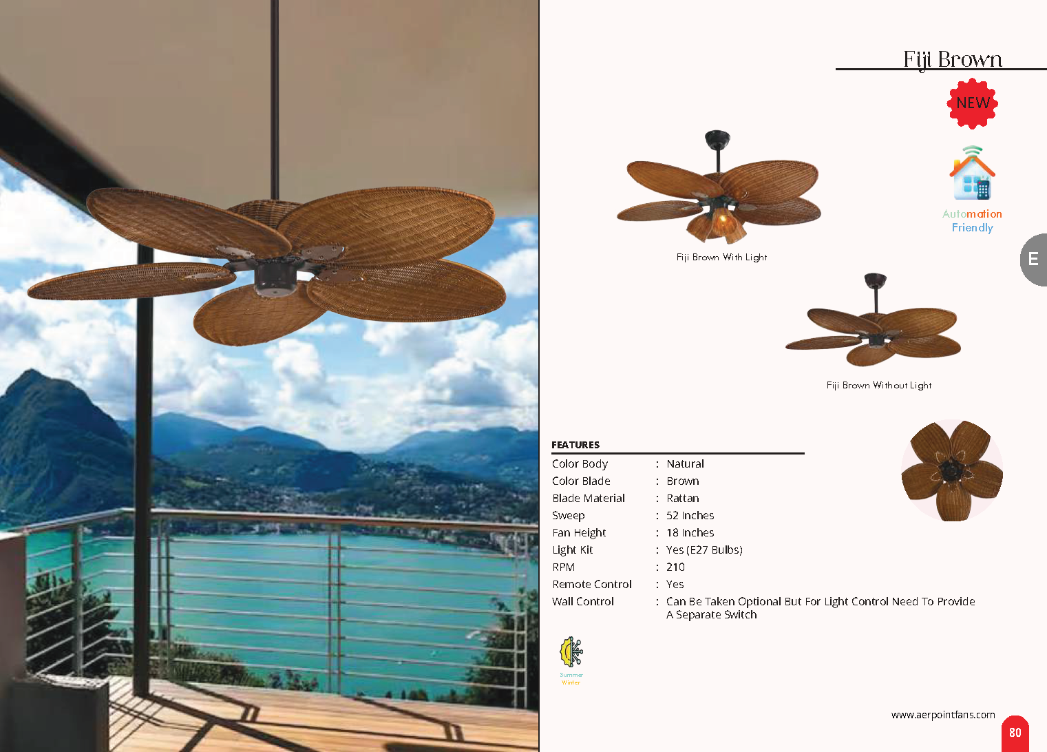 Beyond Lights - Fiji Brown Fan