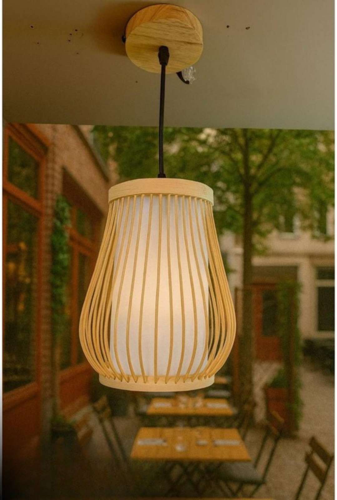 Beyond Lights - Bamboo Pendant Lamp