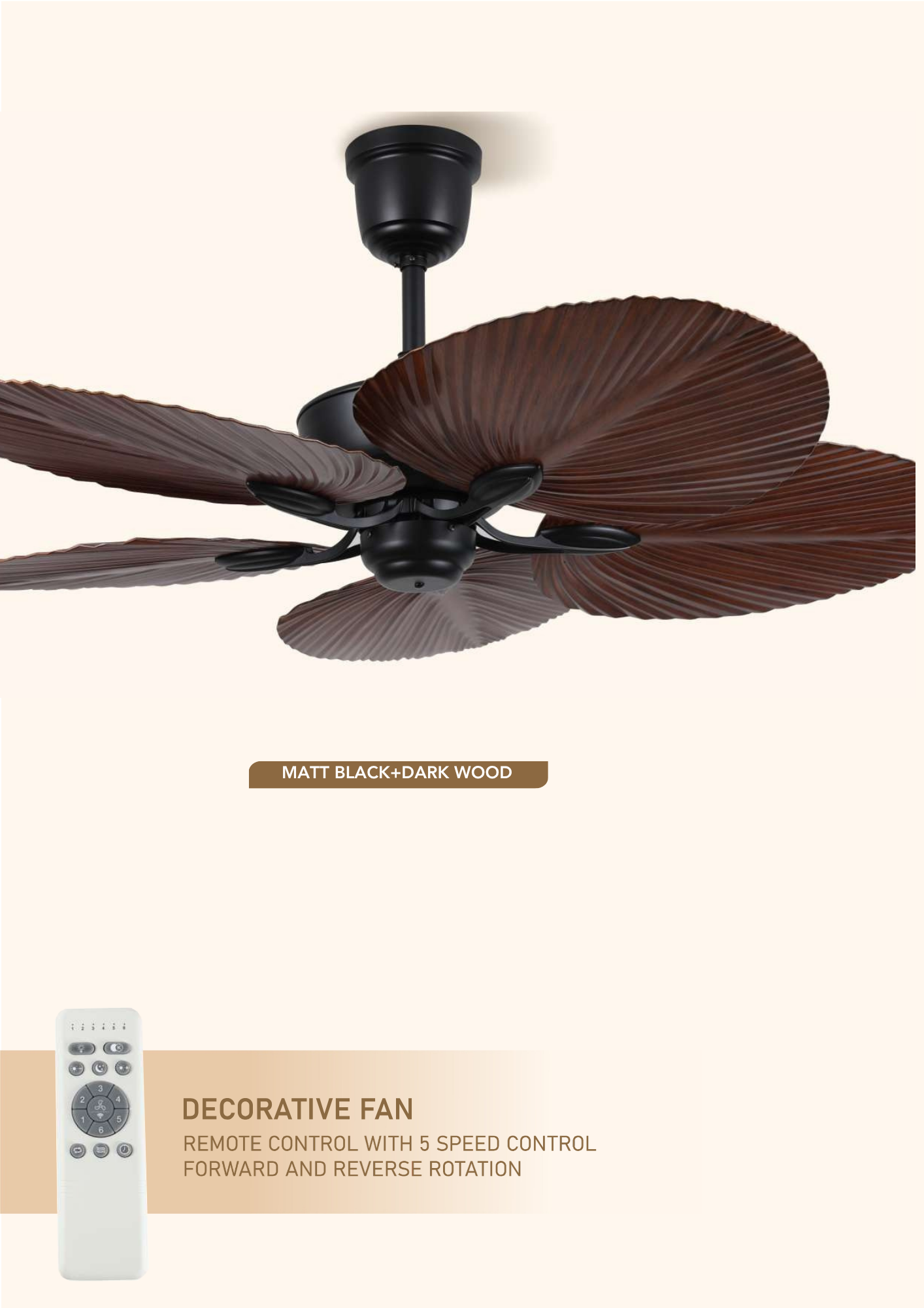 Beyond Lights - Decorative Ceiling Fan