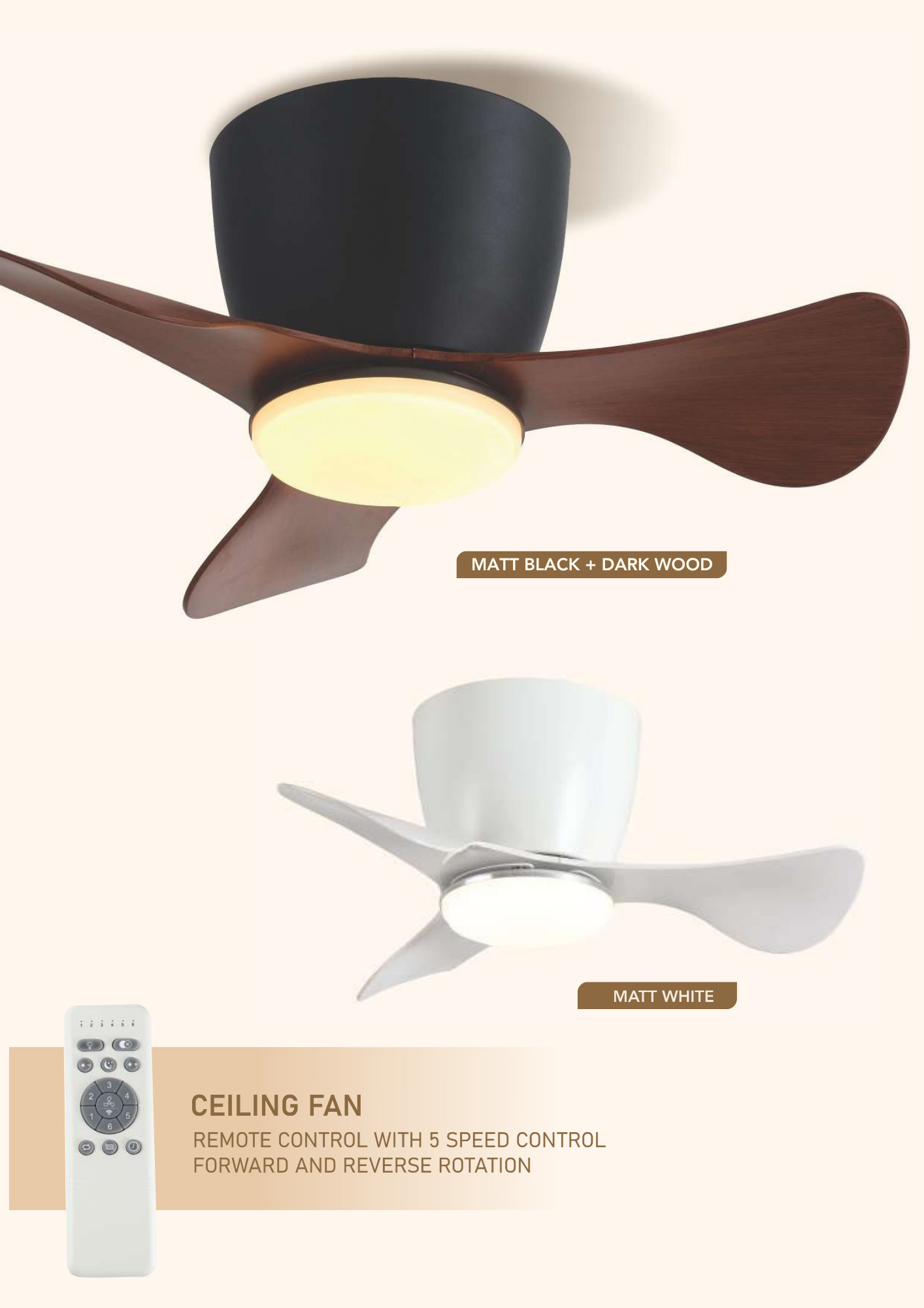 Beyond Lights - Ceiling Fan