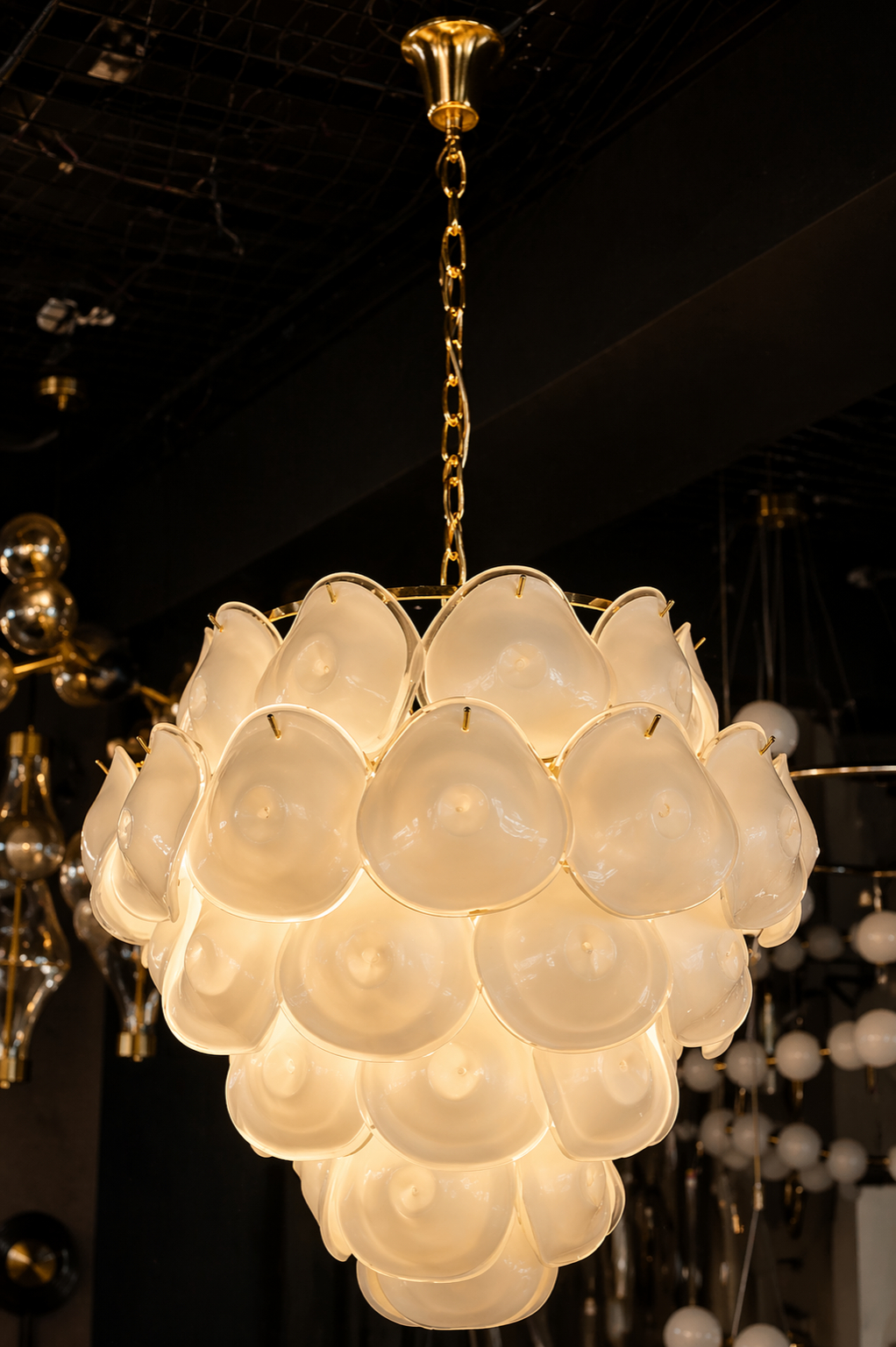 Beyond Lights - Glass Petal Chandelier