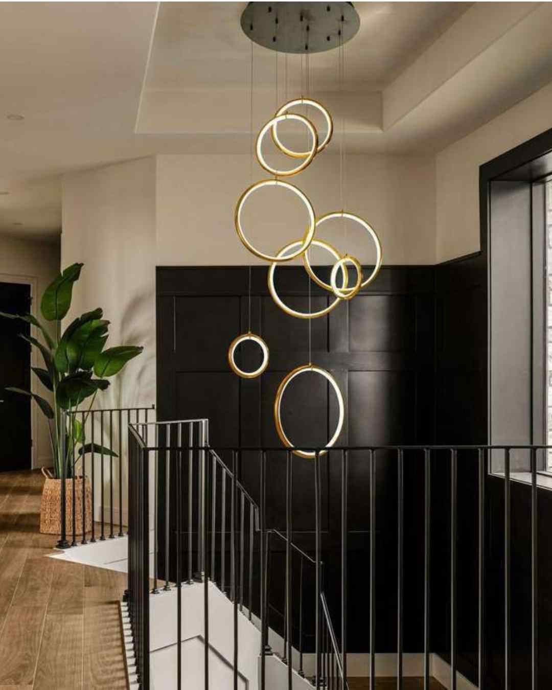 Beyond Lights - Ring Chandelier Light