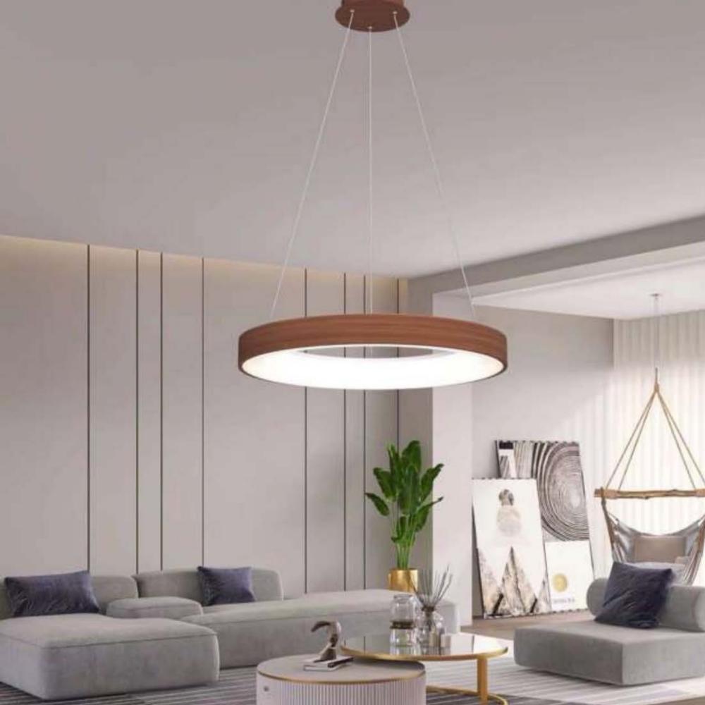 Beyond Lights - Ring Pendant Lamp